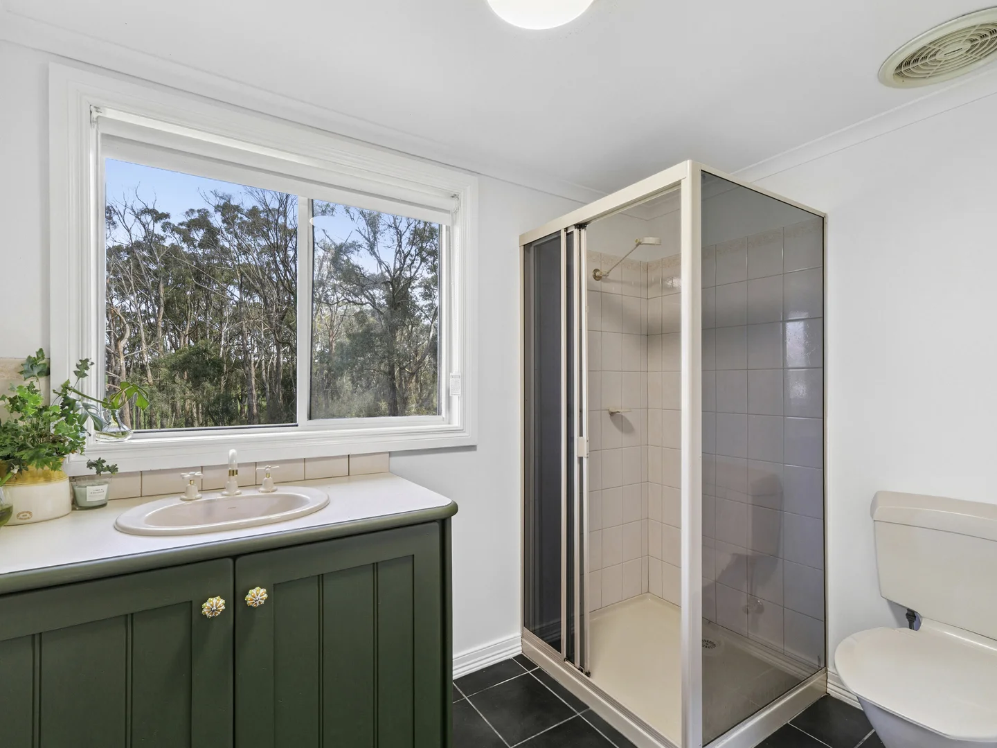 Additional image 10 of 585 Colac Lavers Hill Road, Barongarook VIC 3249