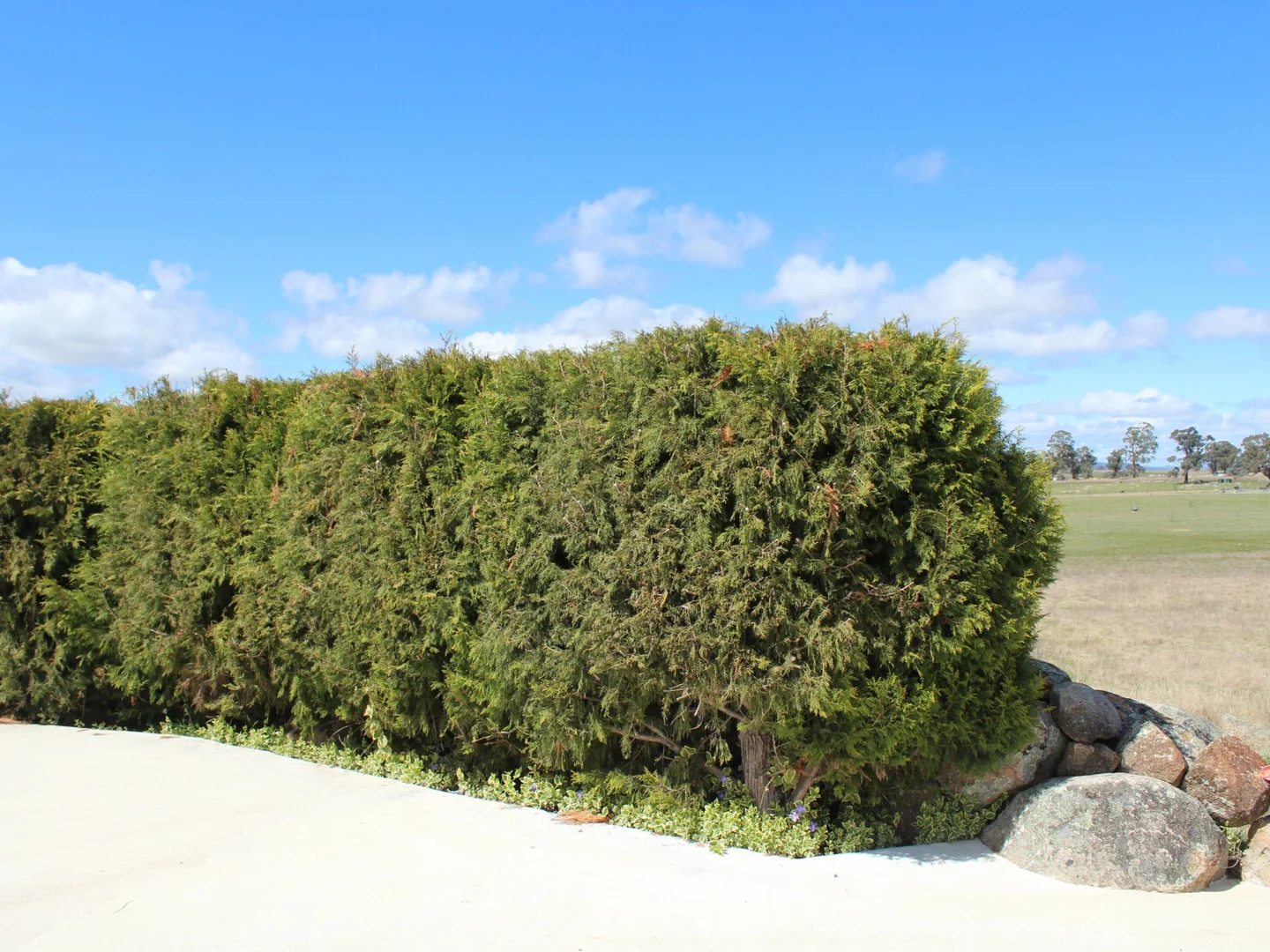 Additional image 15 of 52 Lahara Road, Glen Innes NSW 2370