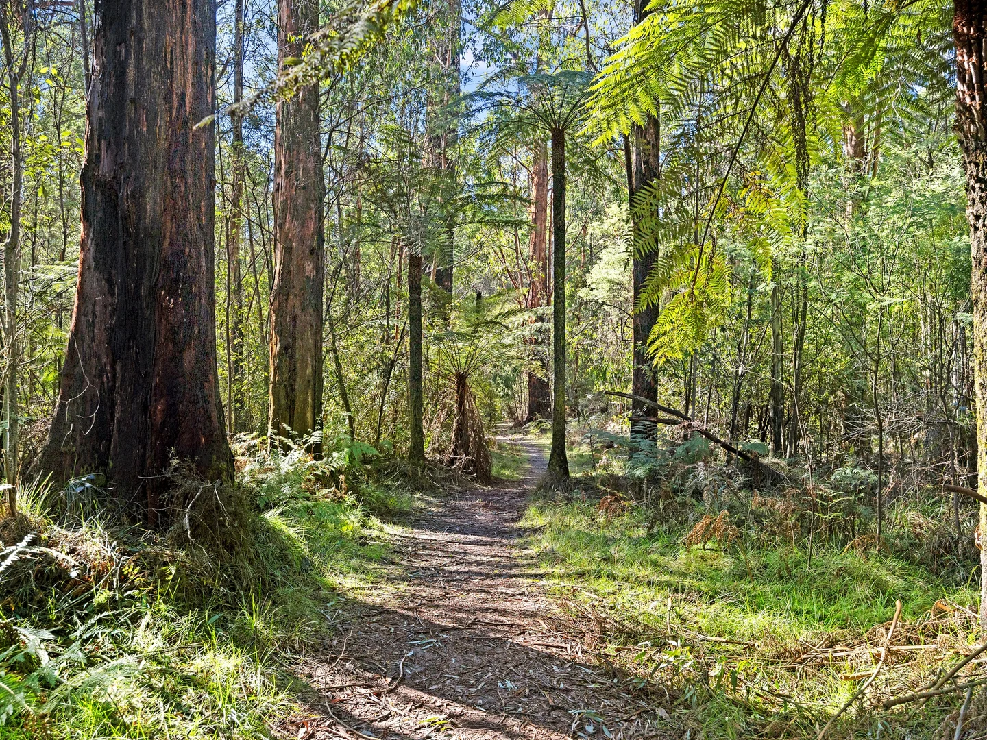 Additional image 3 of 1-3 Lady Talbot Drive, Marysville VIC 3779