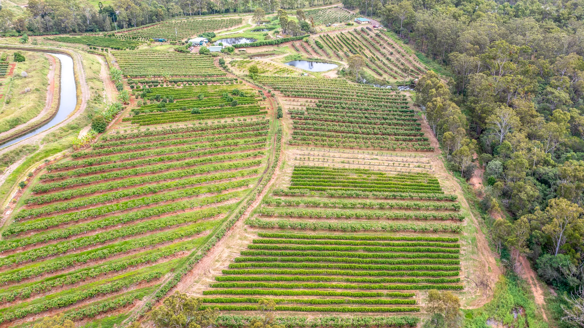 Additional image 30 of 86 Simpsons Road, Bullyard QLD 4671