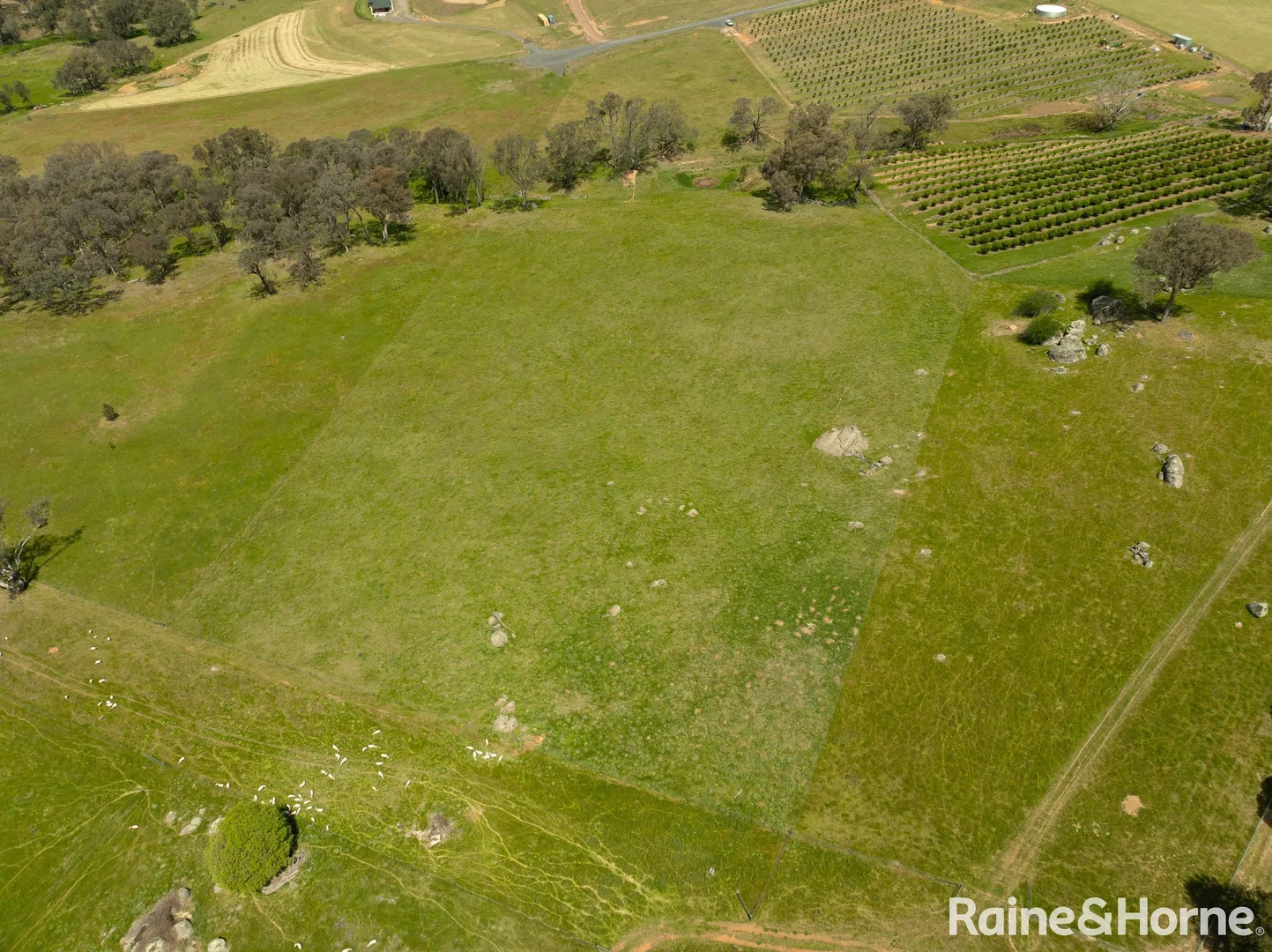 Additional image 4 of 75-84 Crowe Road, Young NSW 2594