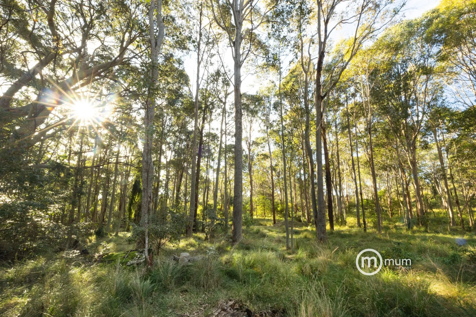 Additional image 5 of - Forster Drive, Bawley Point NSW 2539