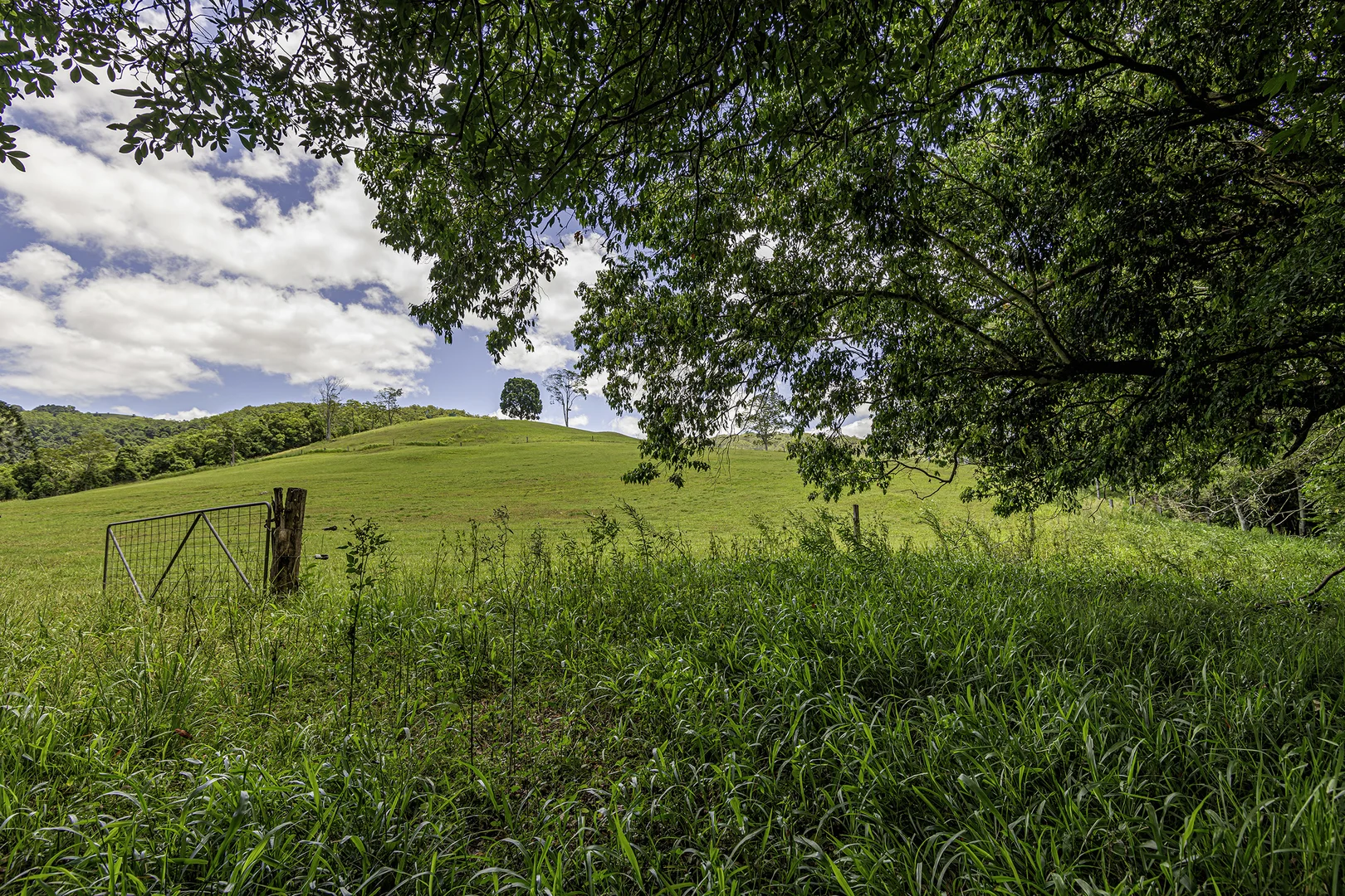 Additional image 45 of 492 River Road, Peachester QLD 4519