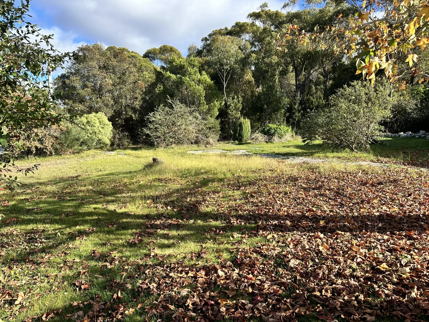 Additional image 17 of 25606 Tasman Highway, St Helens TAS 7216