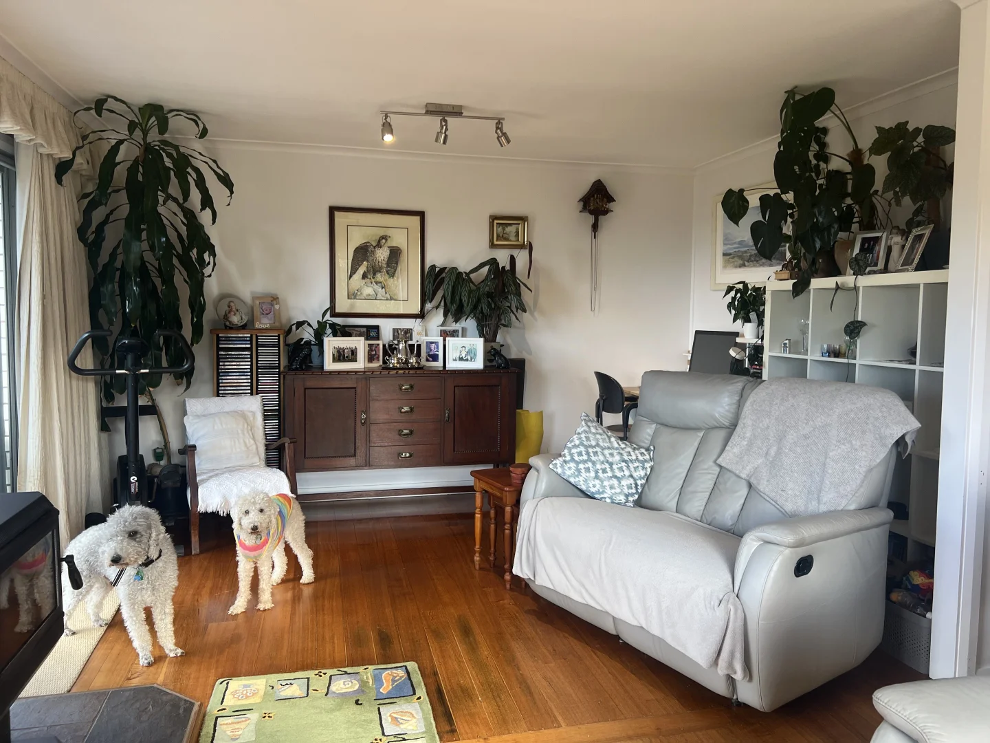 Additional image 4 of 19 Forrest Street, Naracoopa TAS 7256