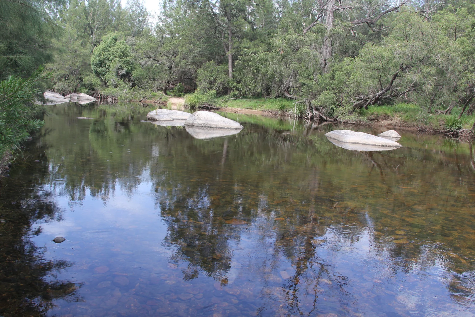 Additional image 5 of 1272 Rocky River Road, Tenterfield NSW 2372