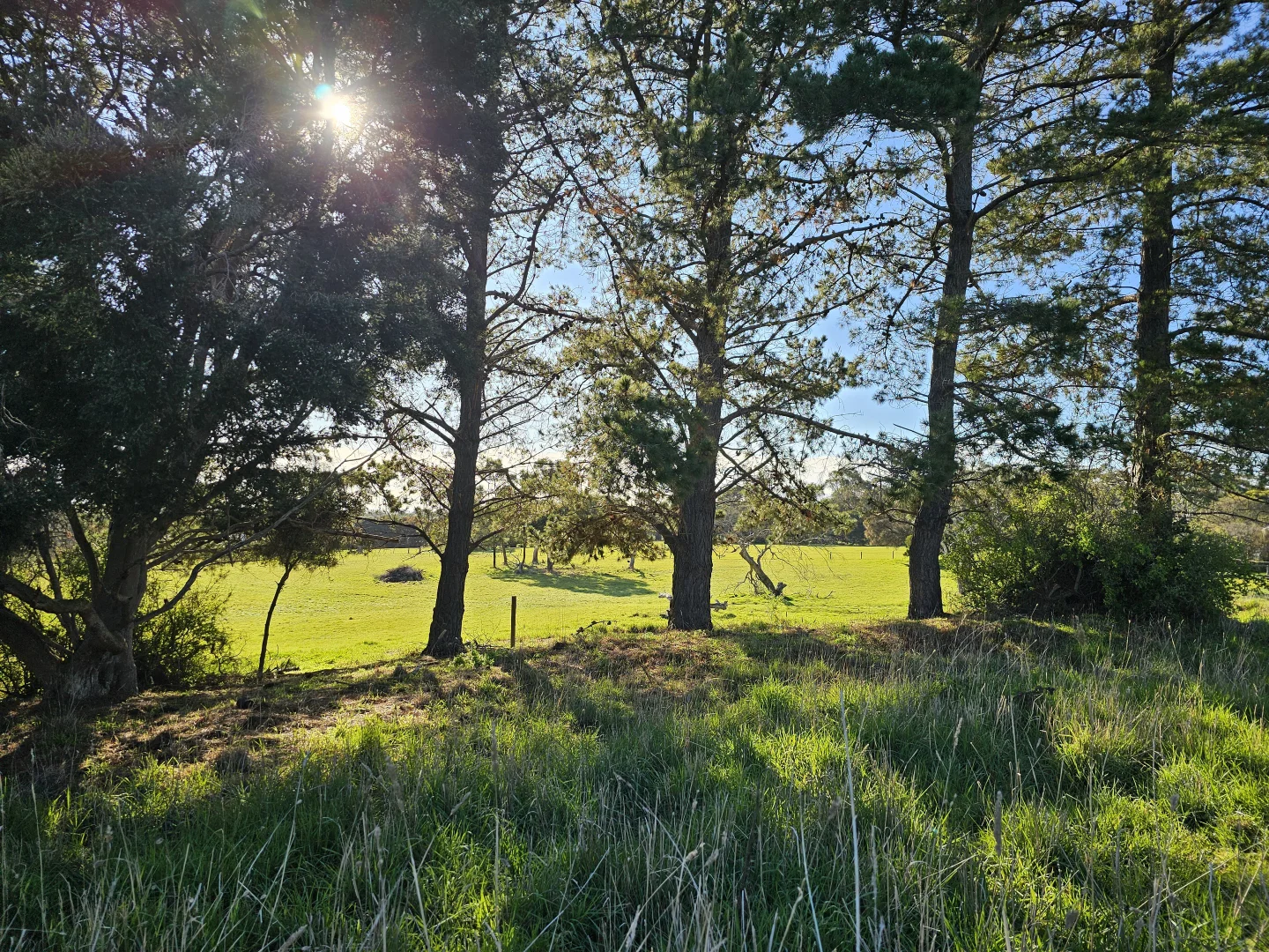 Additional image 7 of 55 Seagrove Way, Cowes VIC 3922