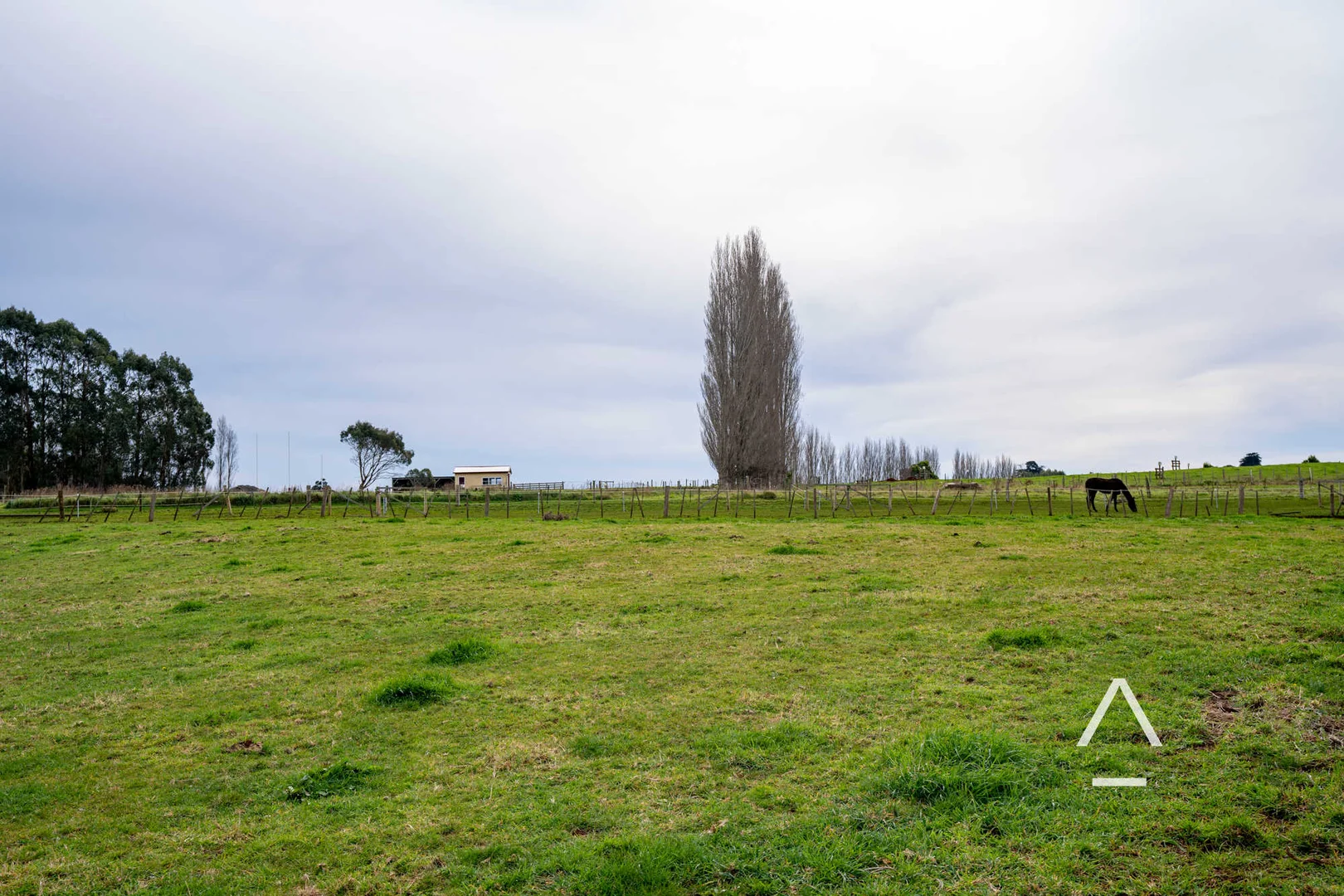 Additional image 10 of 9 Willow Court, Winnaleah TAS 7265