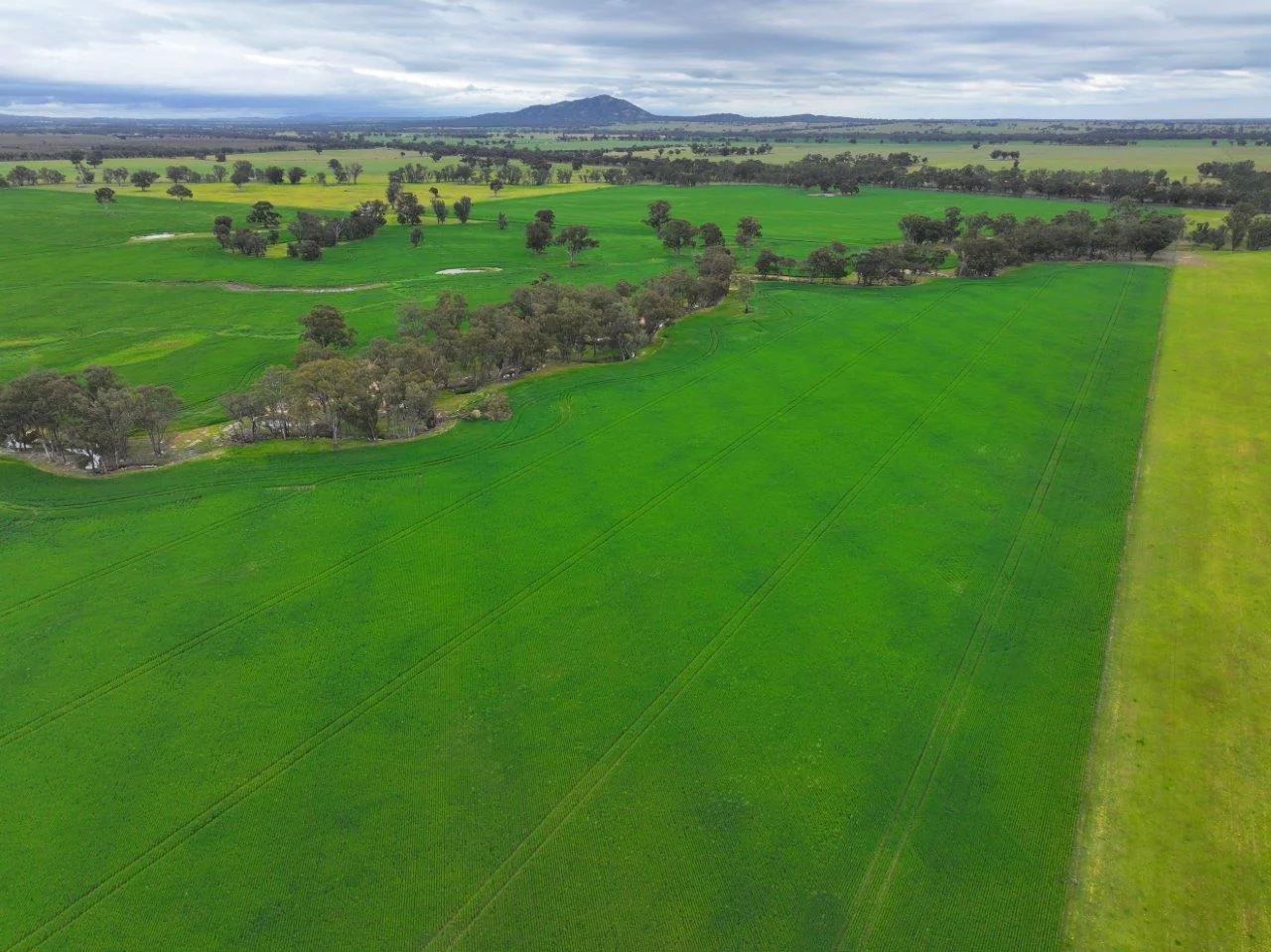 Additional image 11 of -- Brenanah-Kurting Road, Kurting VIC 3517