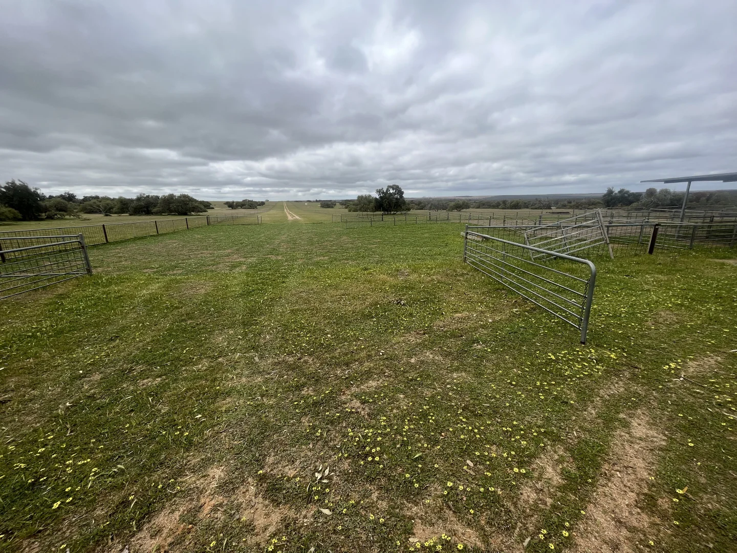 Additional image 13 of Lot 100 First North Road, Kadathinni WA 6519