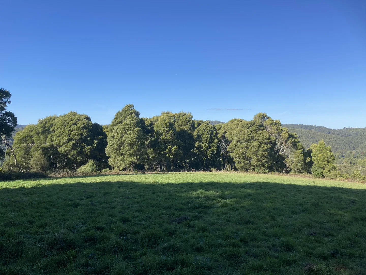 Additional image 11 of 65 Dykes Outlet Rd, Dollar VIC 3871