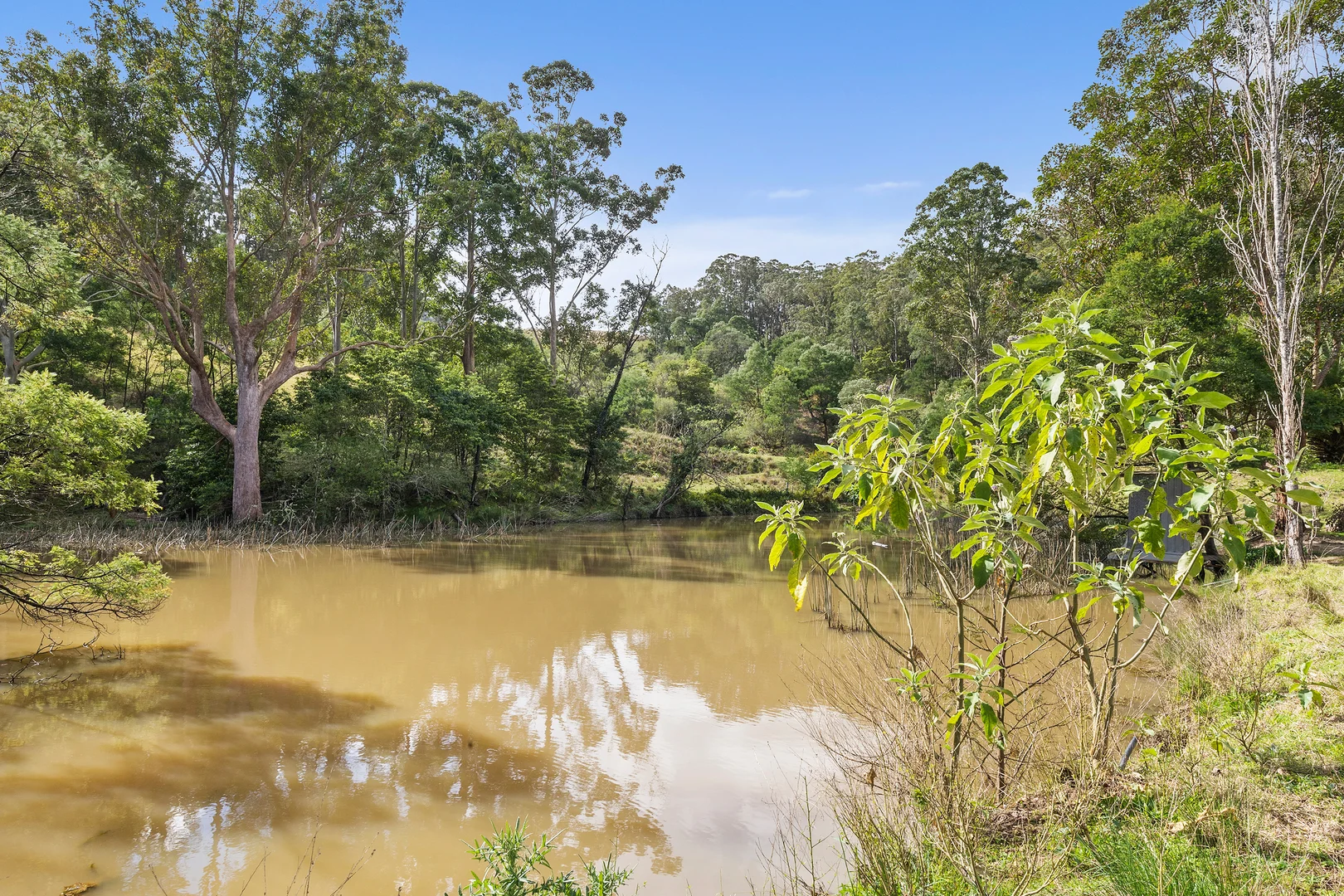 Additional image 21 of 519 Upper Kangaroo River Road, Kangaroo Valley NSW 2577