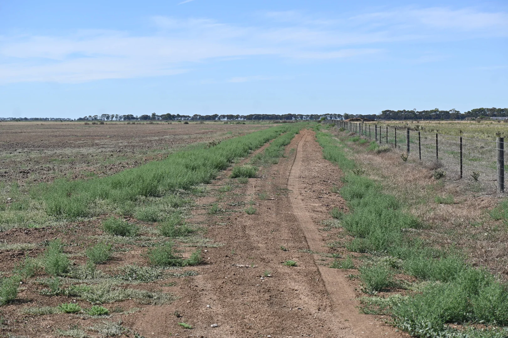 Additional image 38 of 594 Tragowel Road, Tragowel VIC 3579