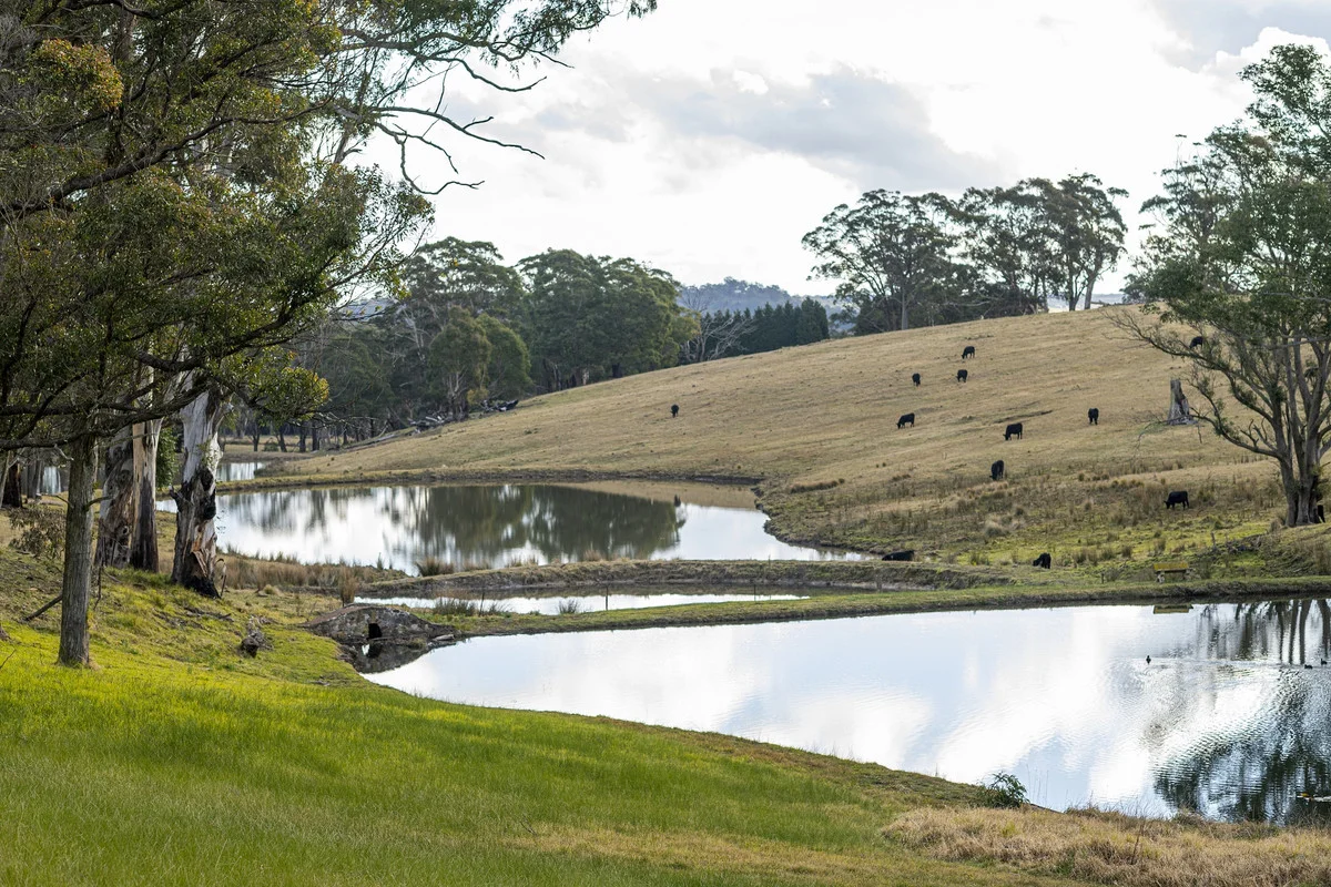 Additional image 48 of 562 Nowra Road, Moss Vale NSW 2577