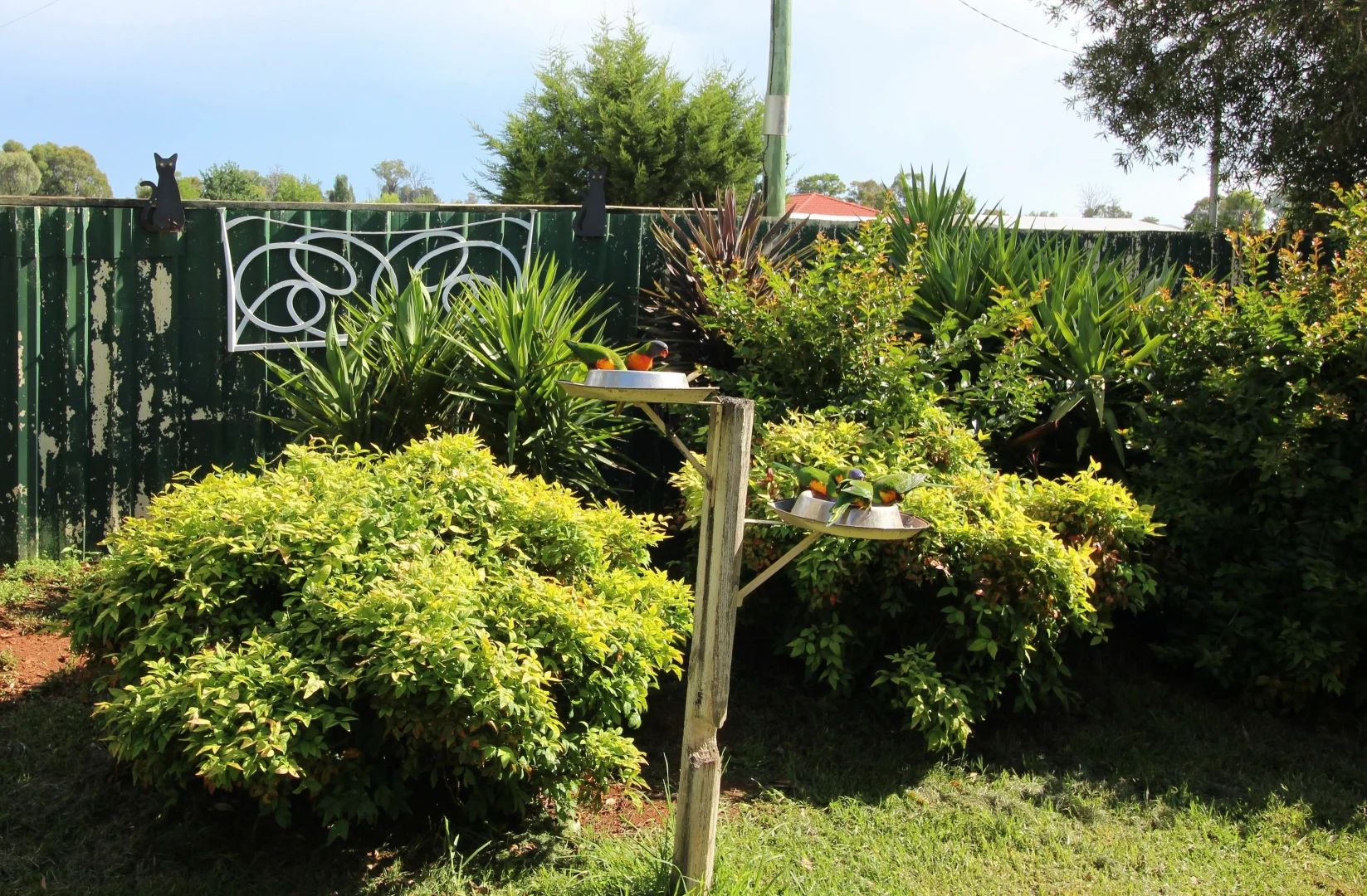 Additional image 3 of 3760 Bundarra Rd Gilgai, Inverell NSW 2360