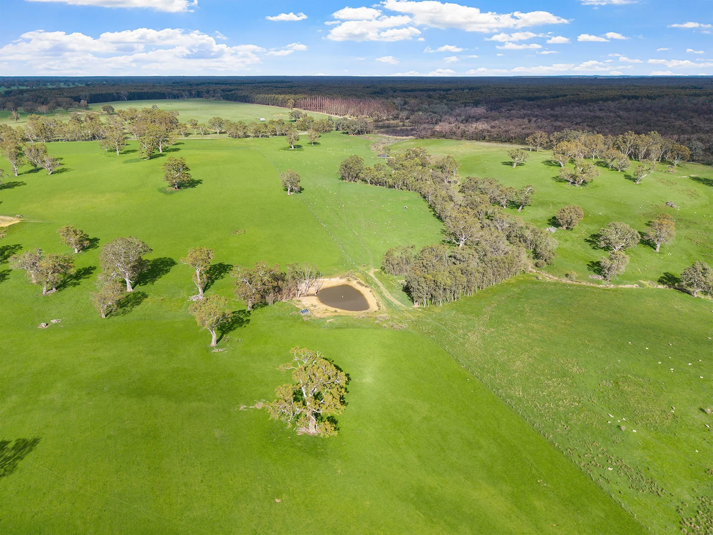 Additional image 3 of 3786 Casterton Edenhope Road, Chetwynd VIC 3312