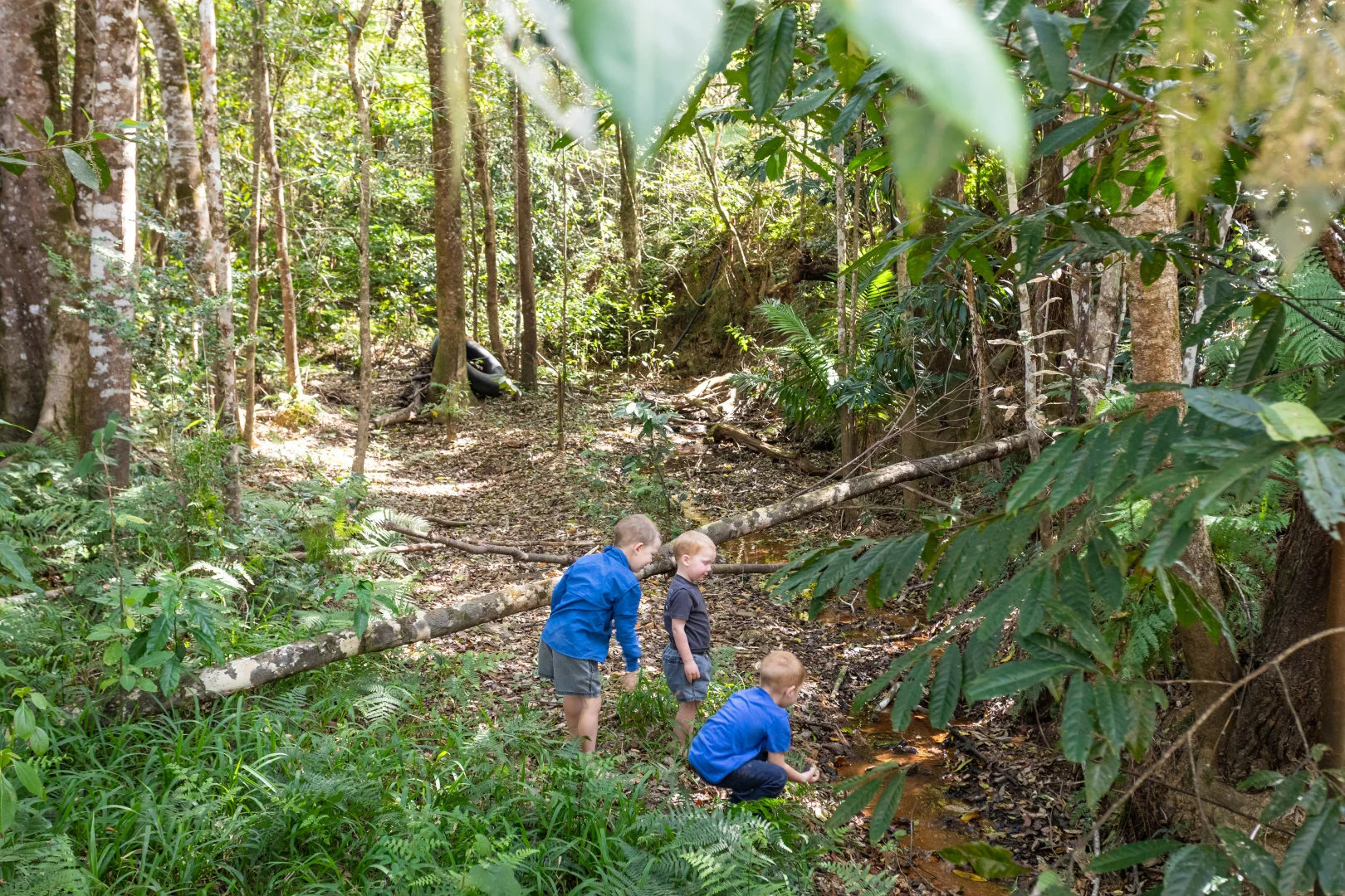 Additional image 27 of 686 Pomona Kin Kin Road, Kin Kin QLD 4571