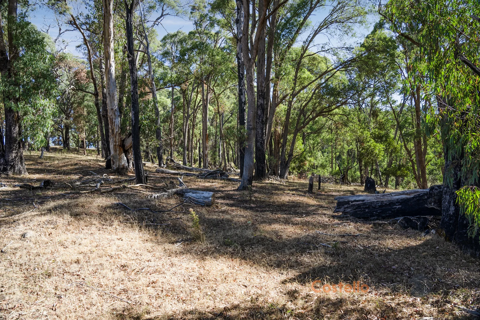 Additional image 10 of 195 Willigobung Road, Willigobung NSW 2653