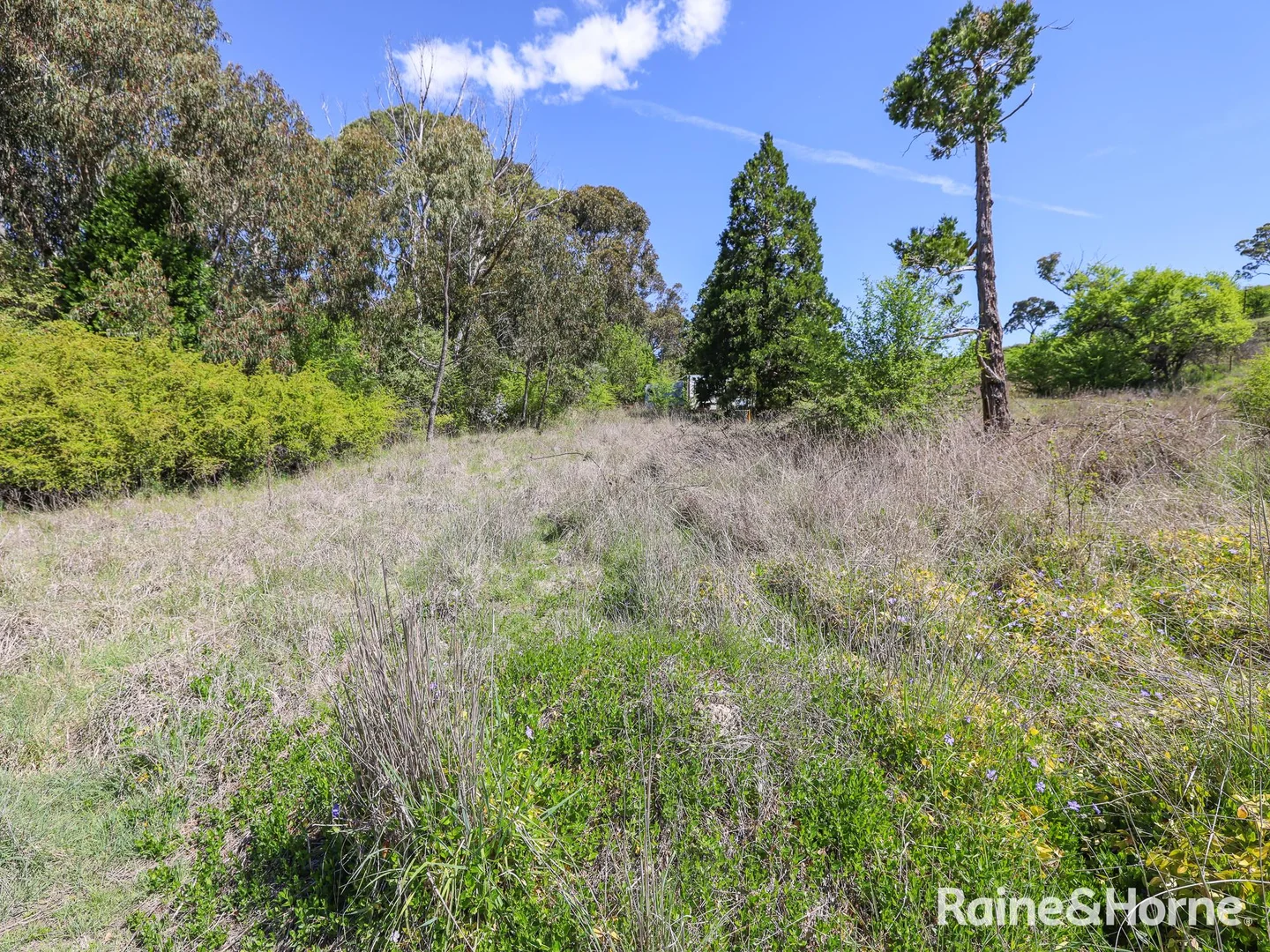 Additional image 4 of 1 Naylor Street, Carcoar NSW 2791
