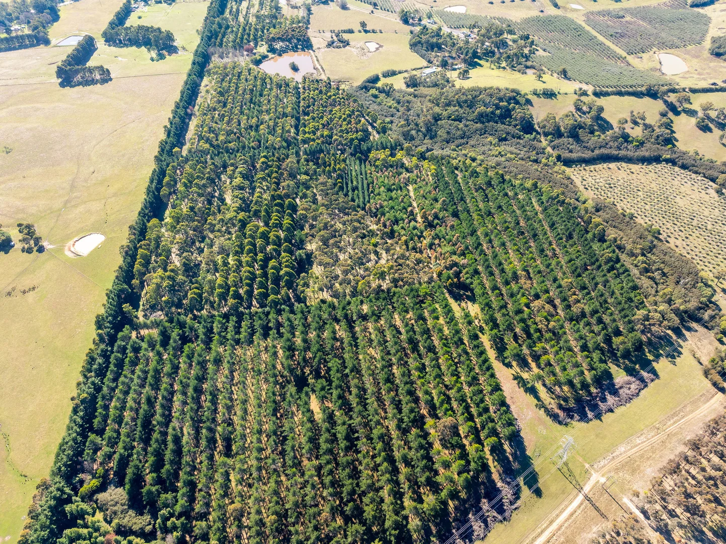 Additional image 16 of 252 Taggerty - Thornton Road, Taggerty VIC 3714