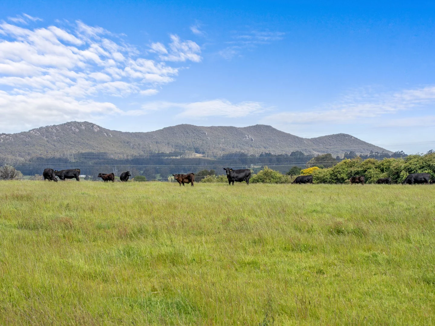 Additional image 13 of Dalwood Road, Nook TAS 7306