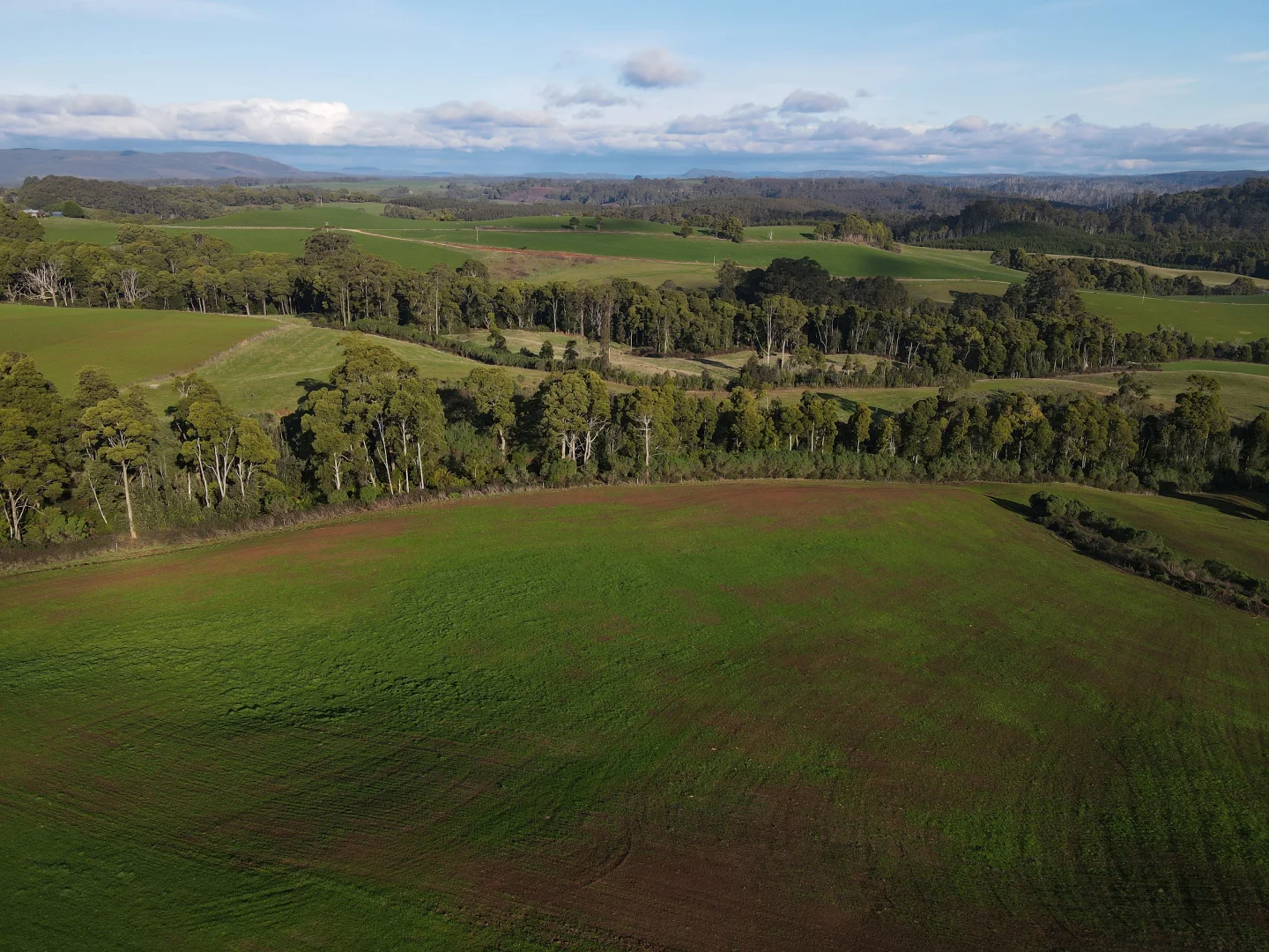 Additional image 16 of 1719 Mawbanna Road, Mawbanna TAS 7321