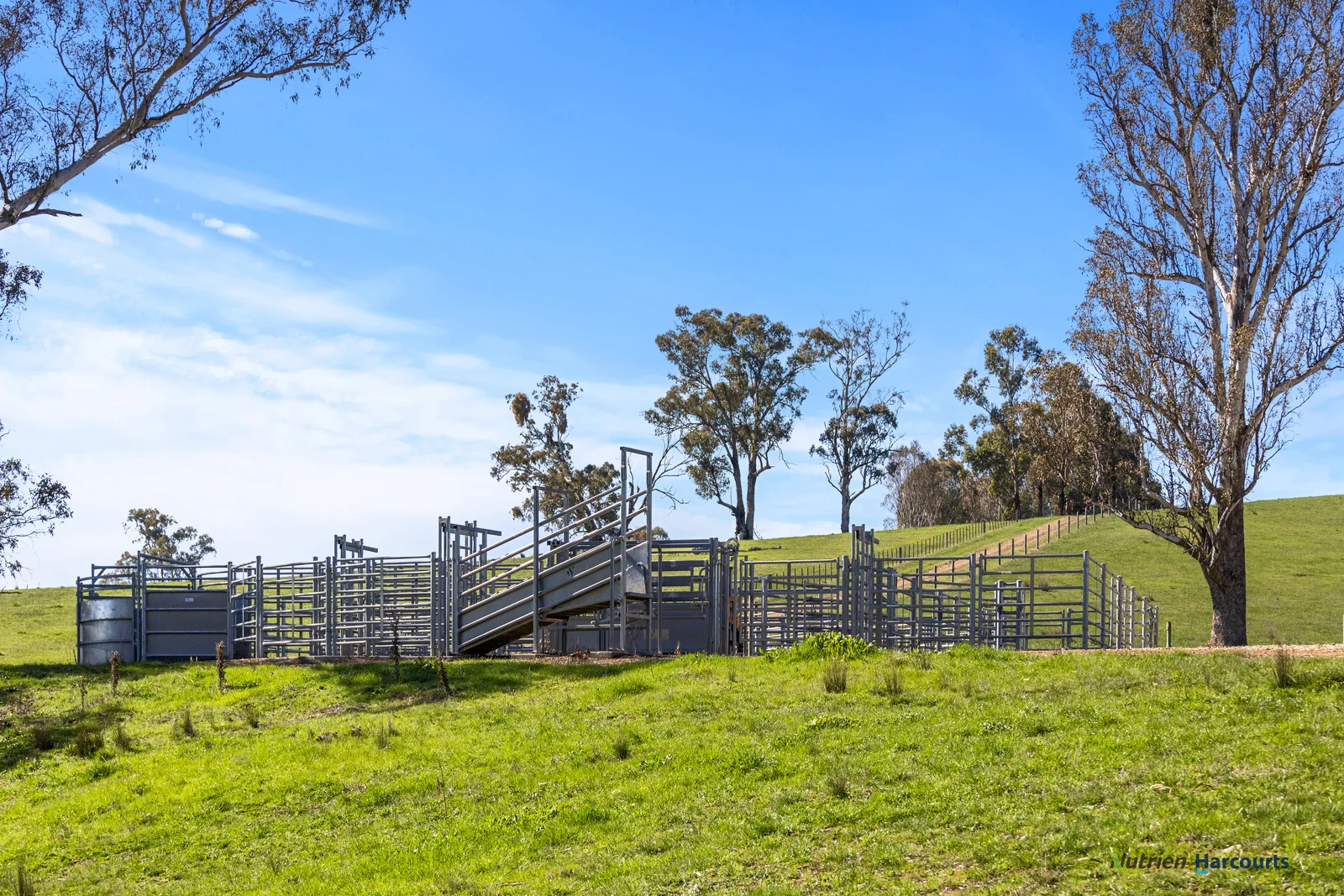 Additional image 9 of 2222 Goulburn Valley Highway, Alexandra VIC 3714