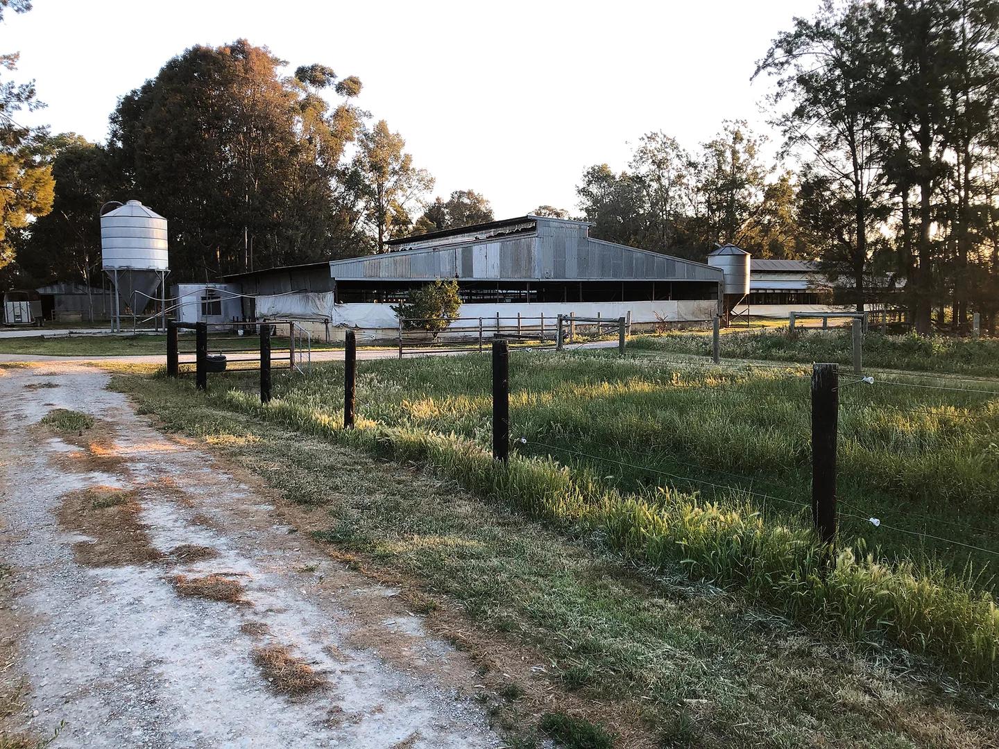 Additional image 16 of 2005 Henderson Road, Girgarre VIC 3624