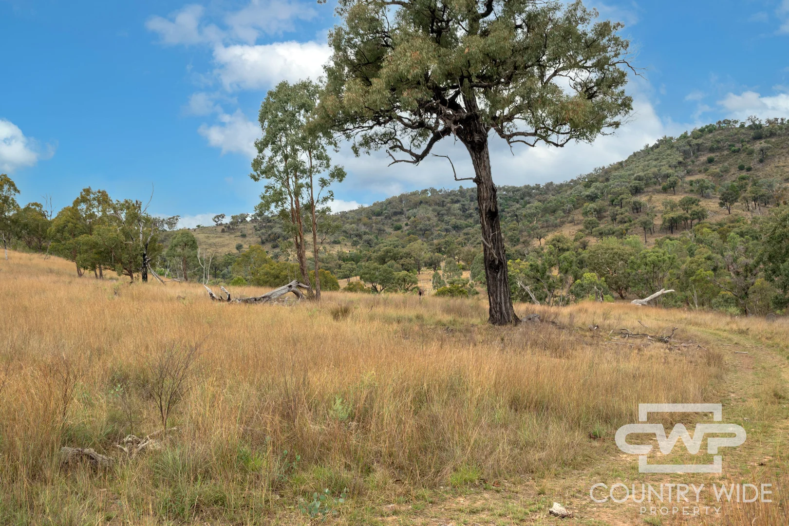 Additional image 15 of 82, 4108 Tent Hill Road, Emmaville NSW 2371