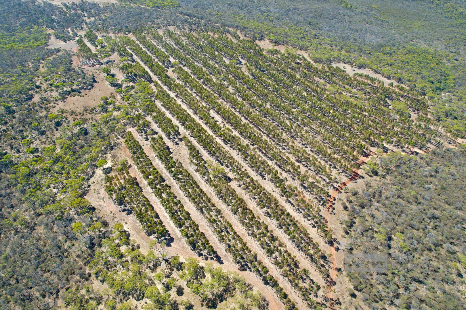 Additional image 33 of 1893 South Coast Highway, Boxwood Hill WA 6338