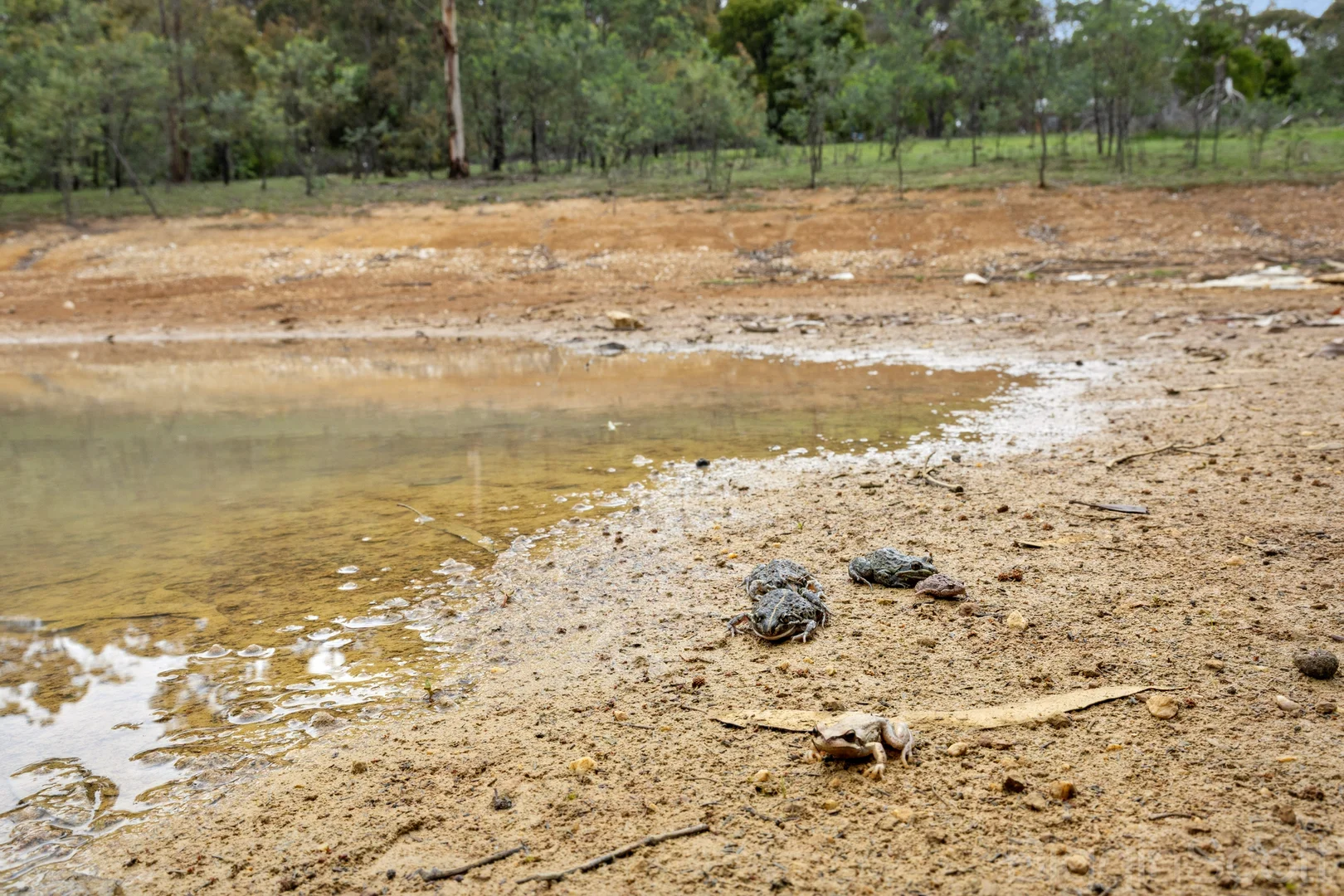 Additional image 18 of 26 Nowland Track, Eganstown VIC 3461