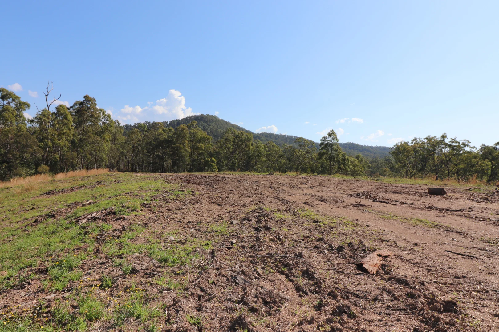 Additional image 4 of Lot 41 Collombatti Road, Collombatti NSW 2440