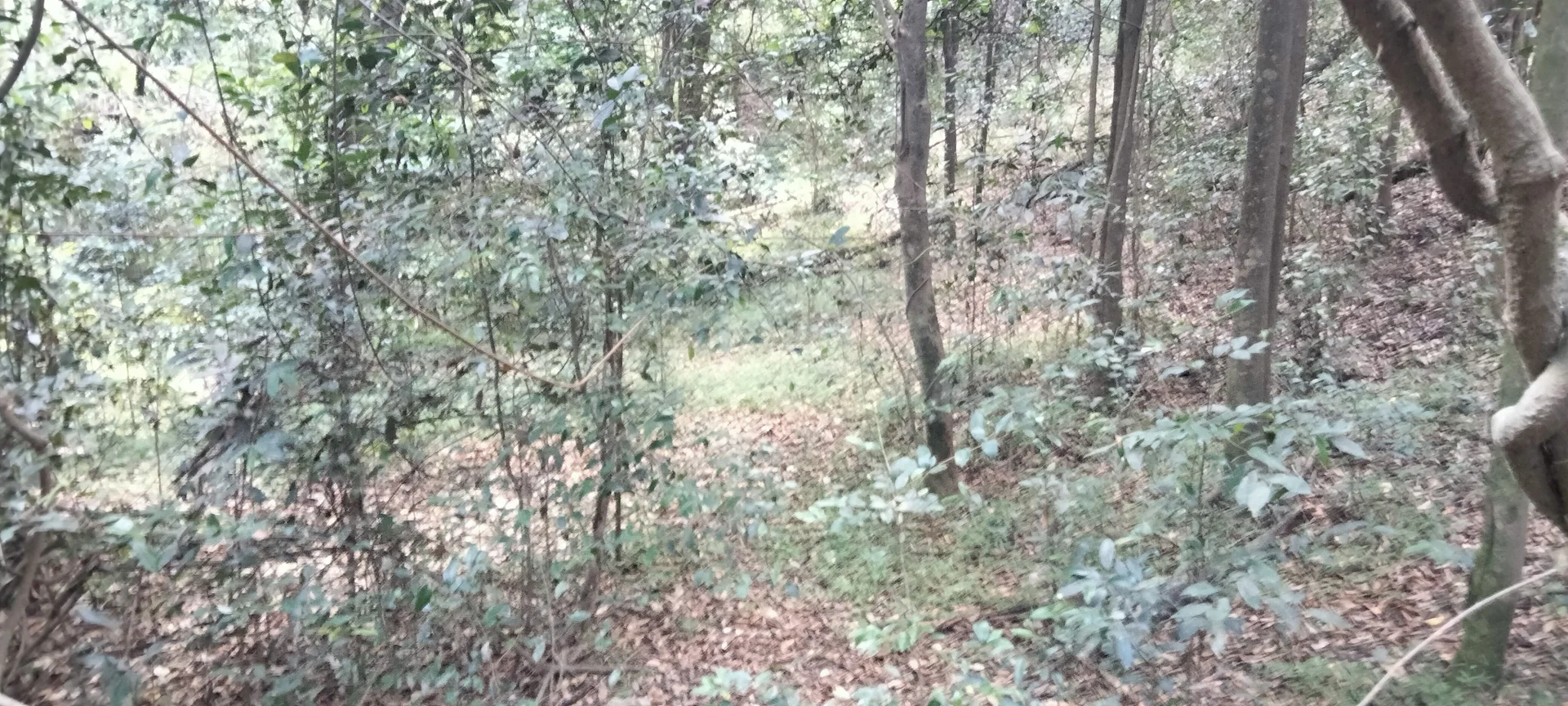 Additional image 38 of 3359 Lowmead Road, Lowmead QLD 4676