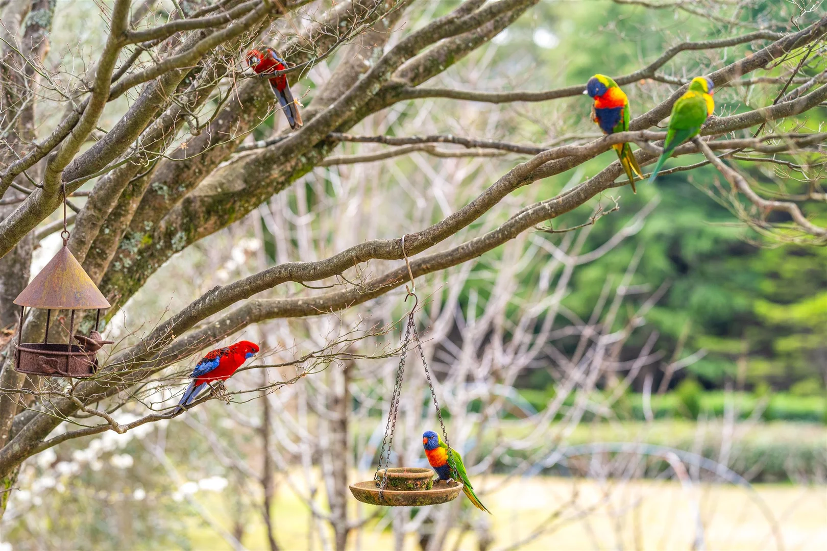 Additional image 10 of 11 Garland Road, Bundanoon NSW 2578