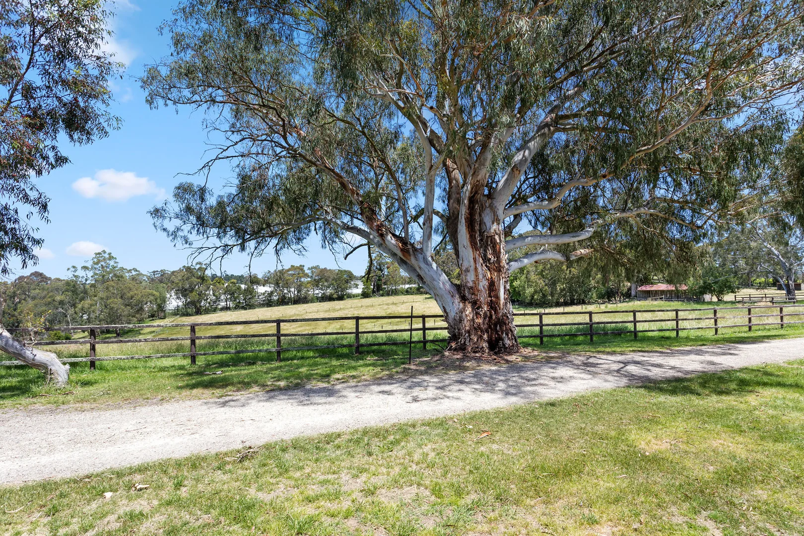 Additional image 24 of 52 Gruyere Road, Gruyere VIC 3770