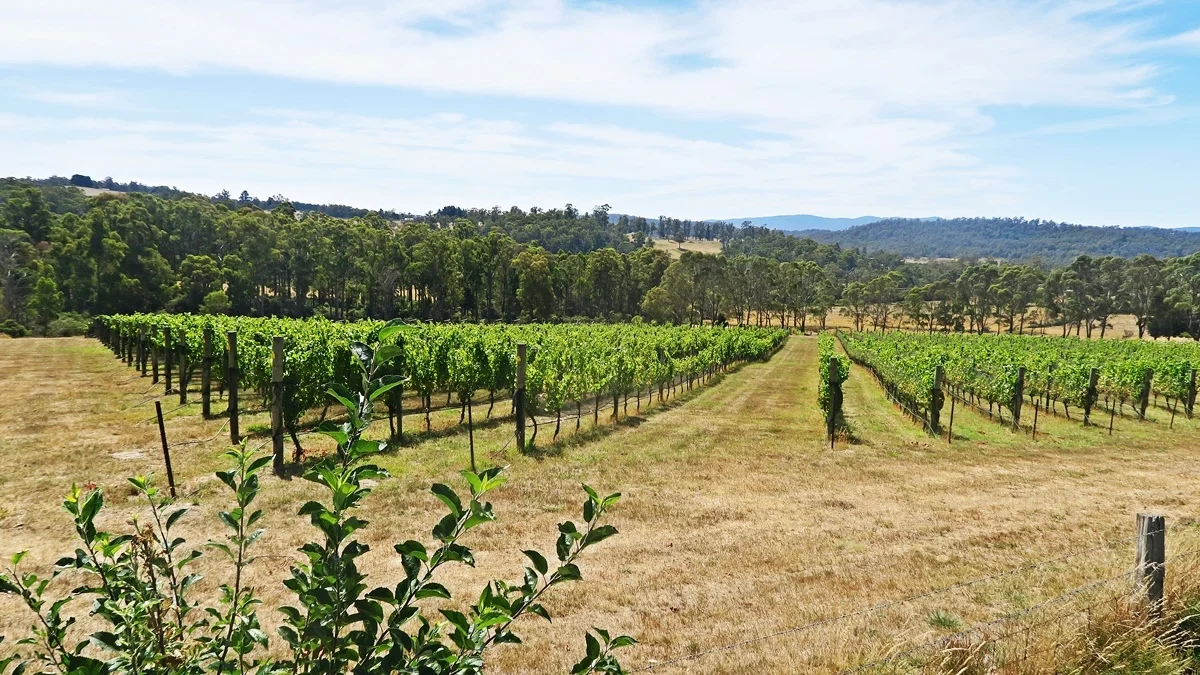 Additional image 29 of 150 Hjorts Road, Loira TAS 7275