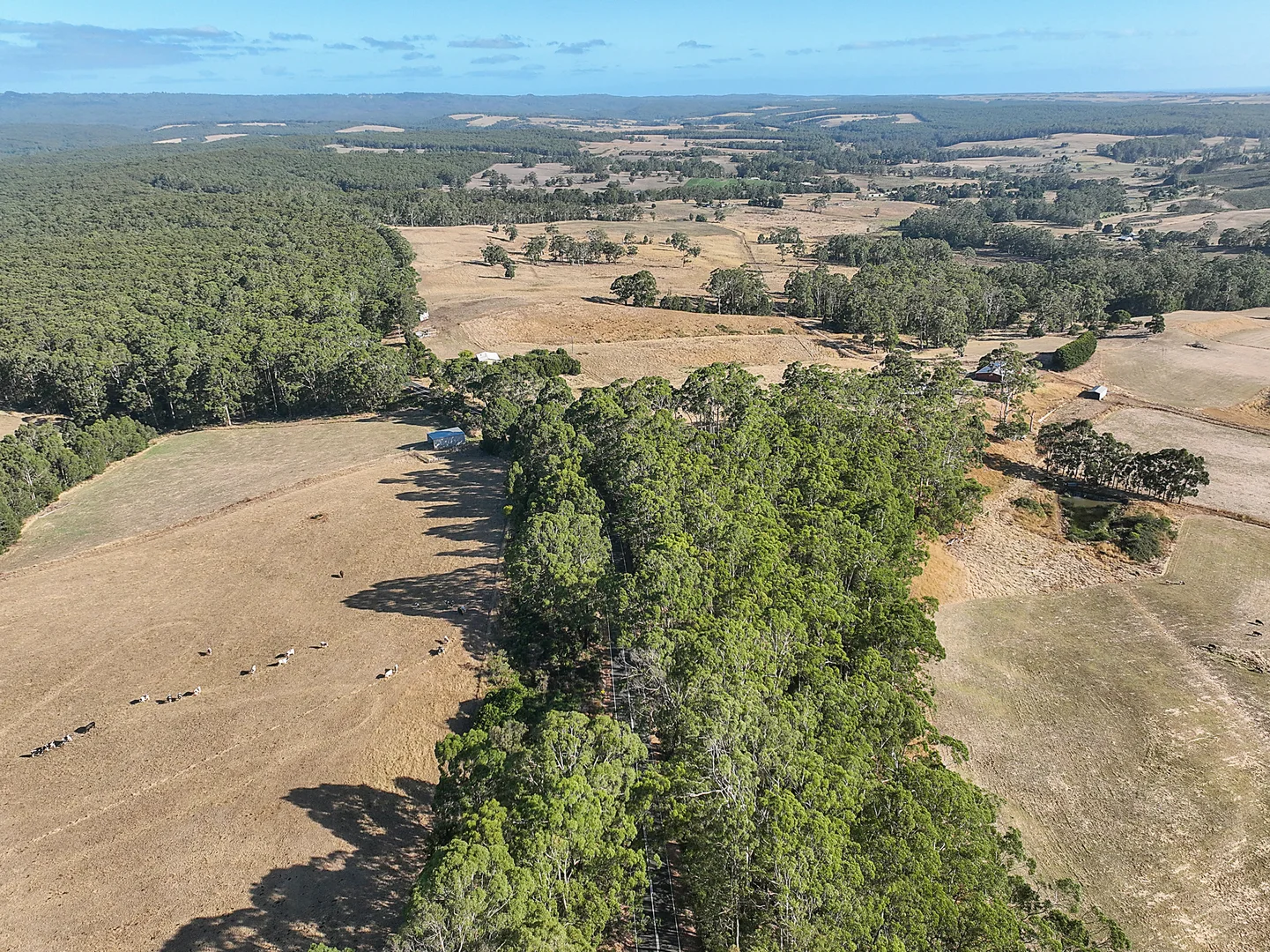 Additional image 7 of 3384 Lavers Hill-Cobden Road, Kennedys Creek VIC 3239