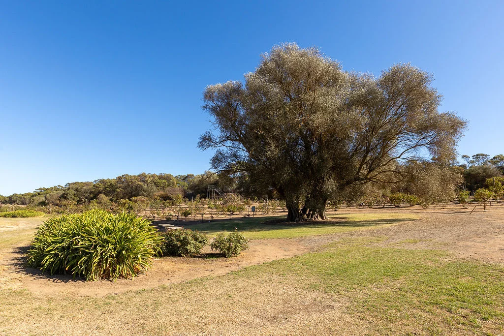 Additional image 21 of 52 Howards Road, Koppio SA 5607