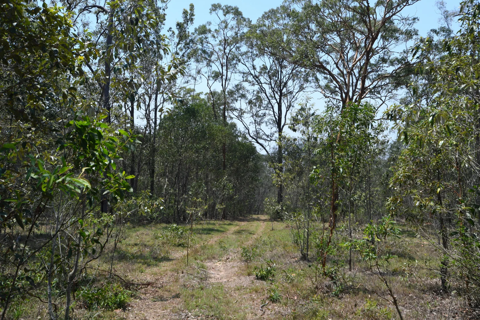 Additional image 15 of 156 Larsens Road, Coominya QLD 4311