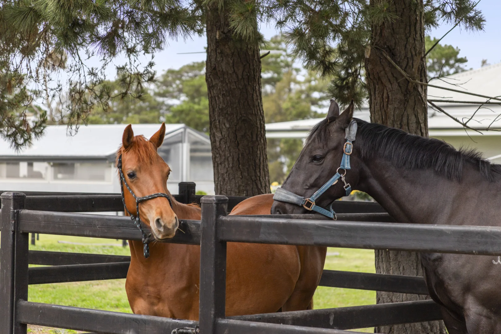 Additional image 34 of 2249 Midland Highway, Bannockburn VIC 3331