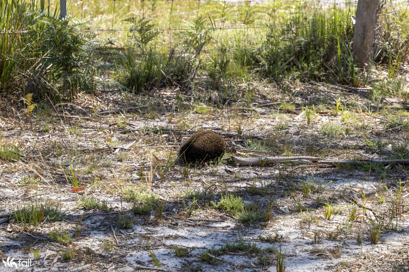 Additional image 10 of LOT 2 Primrose Sands Road, Primrose Sands TAS 7173