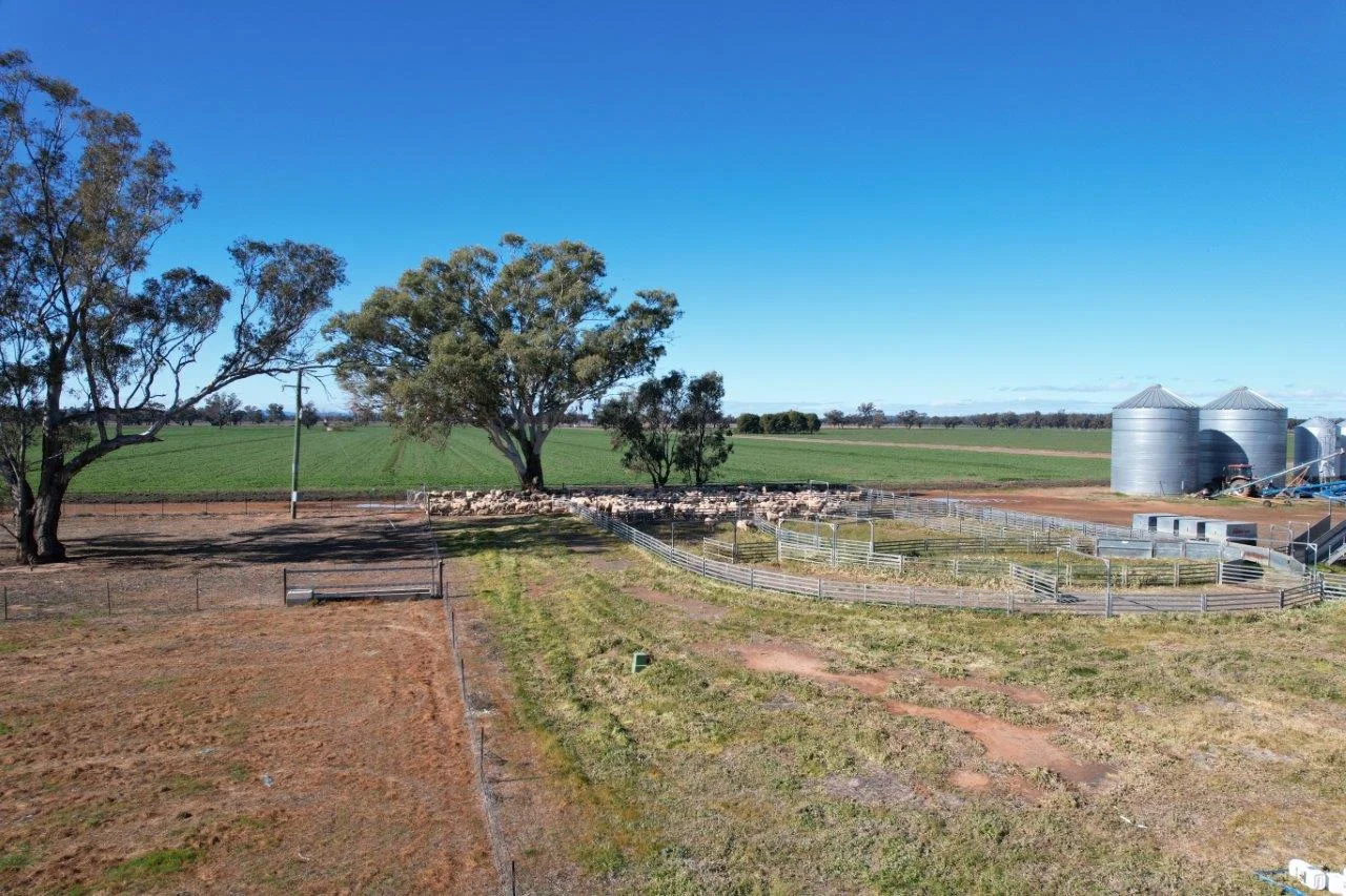 Additional image 37 of 8065 Lachlan Valley Way, Forbes NSW 2871