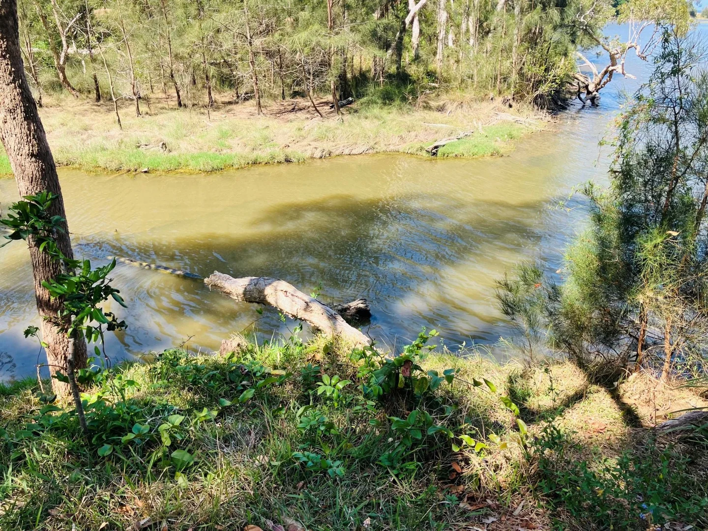 Additional image 15 of 172/8 Hearnes Lake Road, Woolgoolga NSW 2456