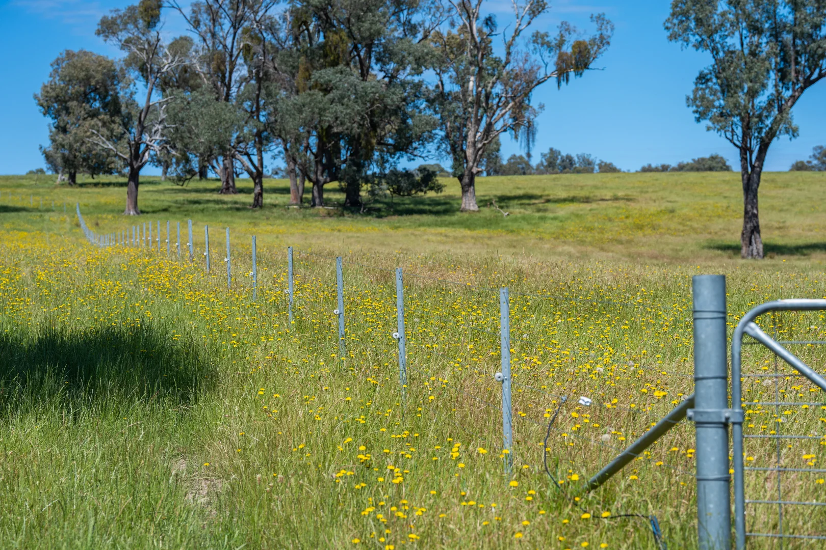 Additional image 38 of 417 Black Flats Road, Mudgegonga VIC 3737