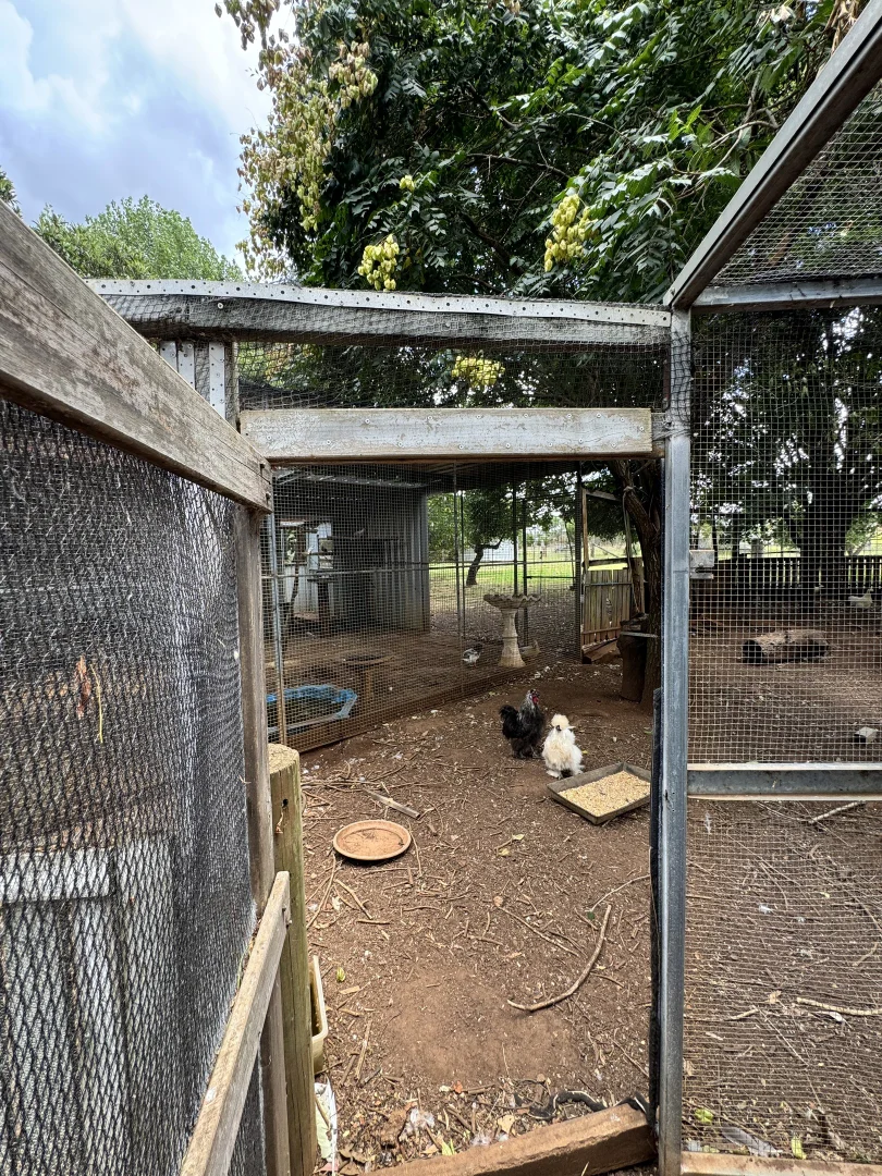 Additional image 25 of 3760 Bundarra Rd Gilgai, Inverell NSW 2360