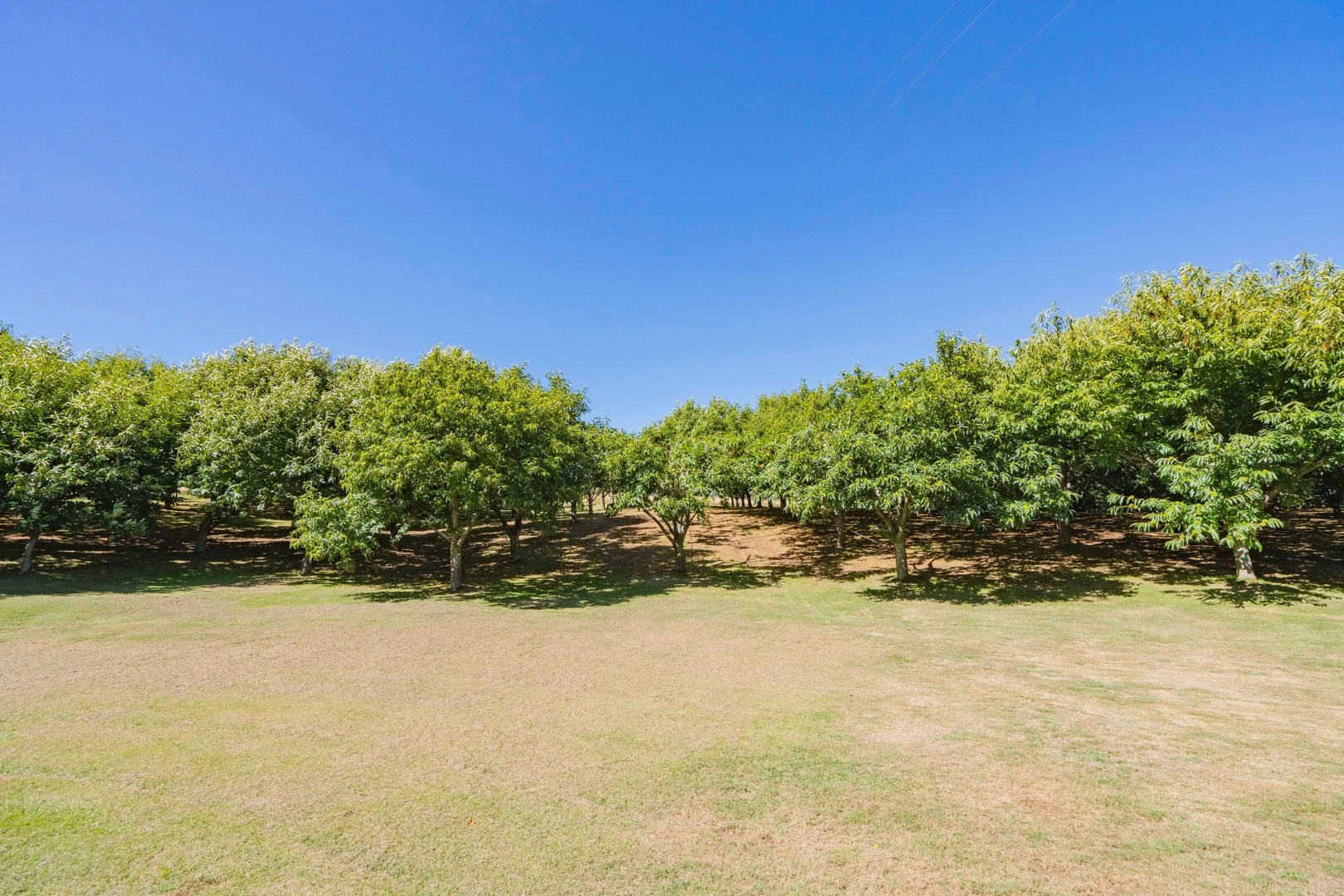 Additional image 12 of 1 Willigobung Road, Tumbarumba NSW 2653