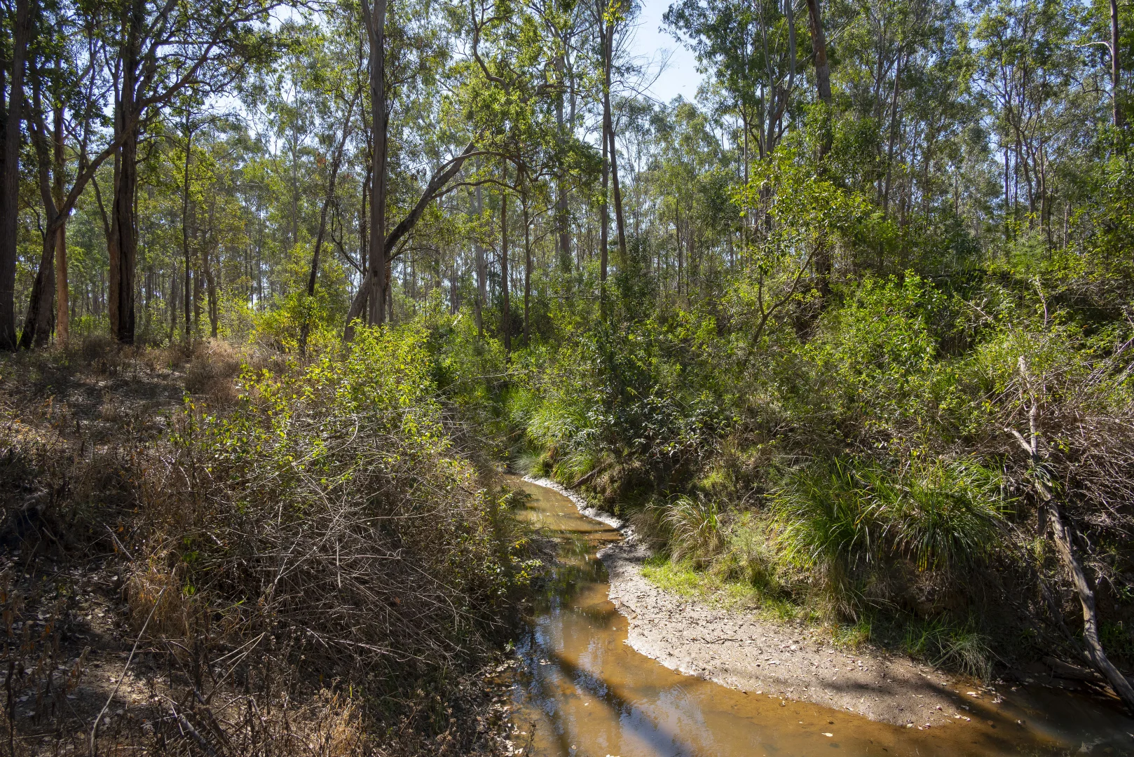 Additional image 12 of 151 Cameron Road, Taromeo QLD 4314