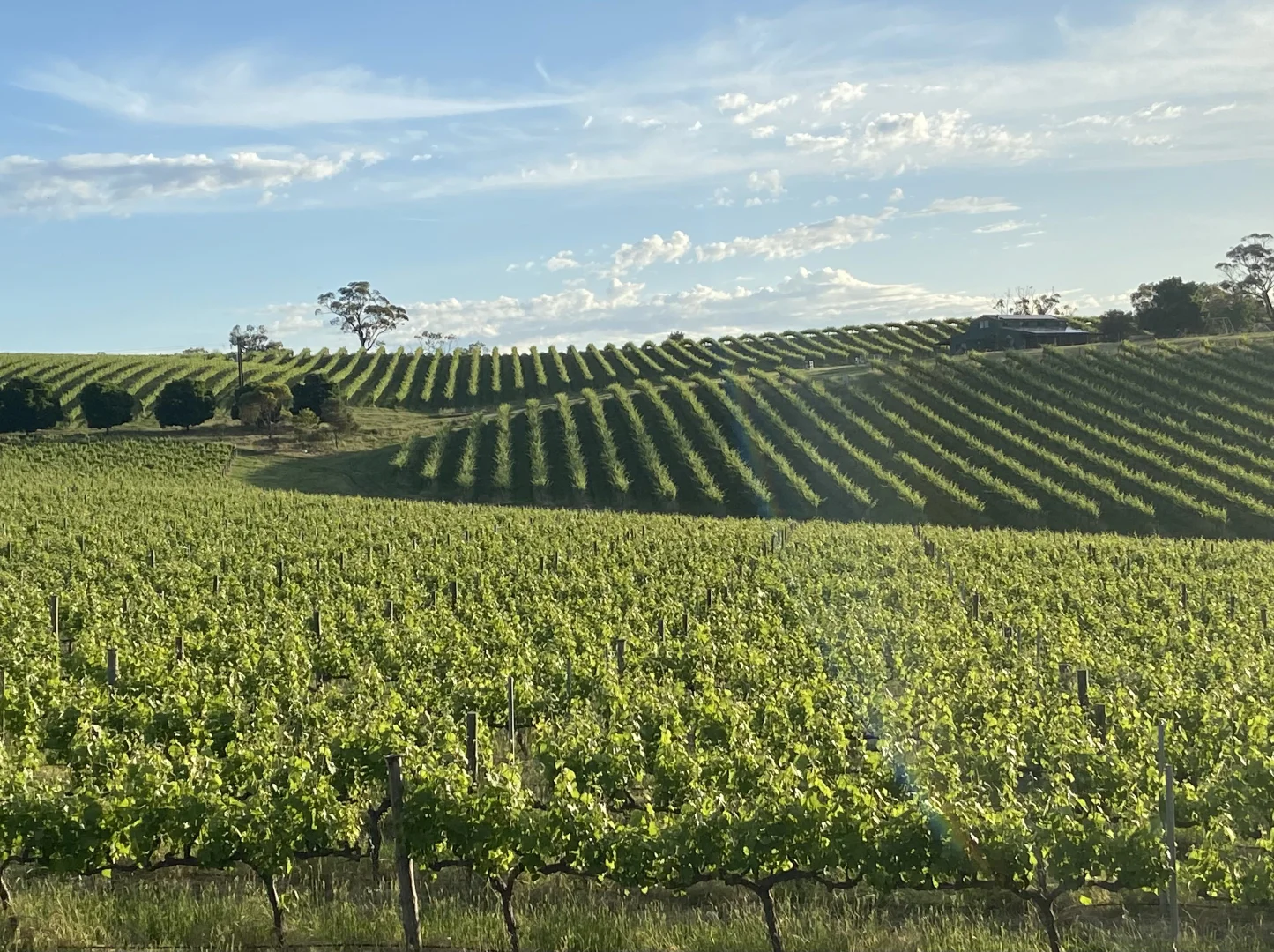 Additional image 18 of 296 Rosedale Scenic Road, Lyndoch SA 5351