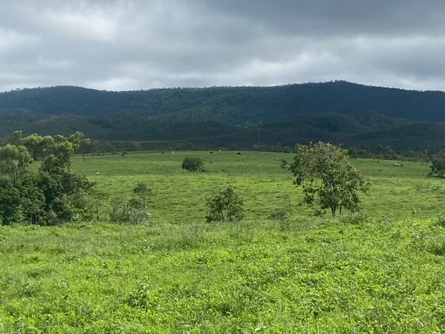 Additional image 3 of 181 Lindeman Drive, Bloomsbury QLD 4799