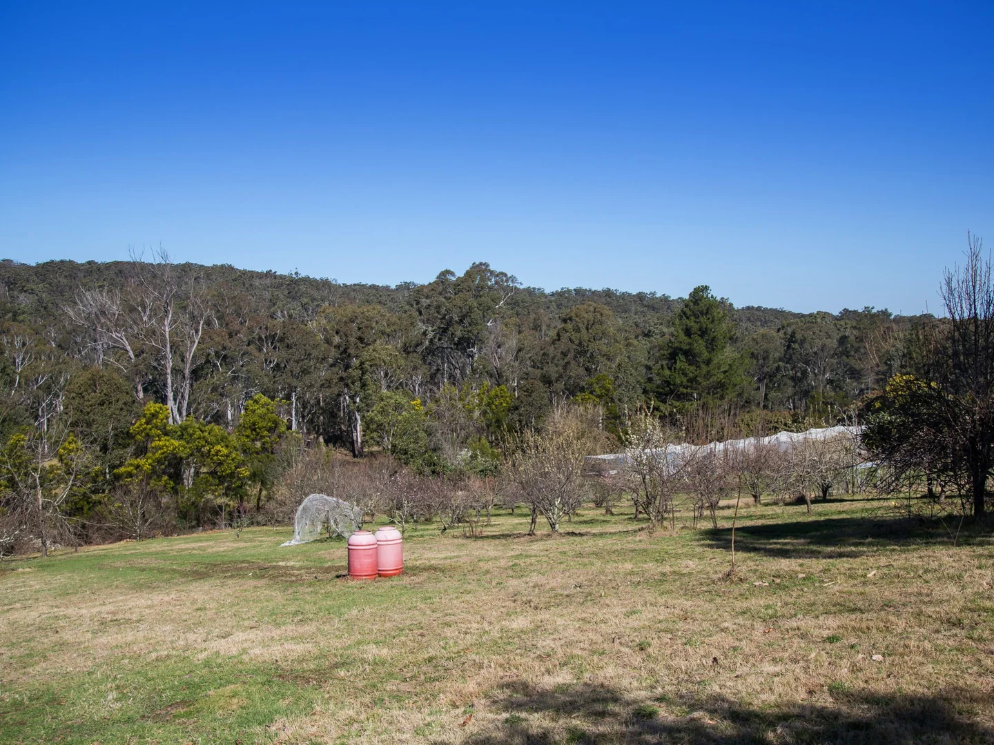 Additional image 13 of 170 Wattle Flats Road, Canyonleigh NSW 2577